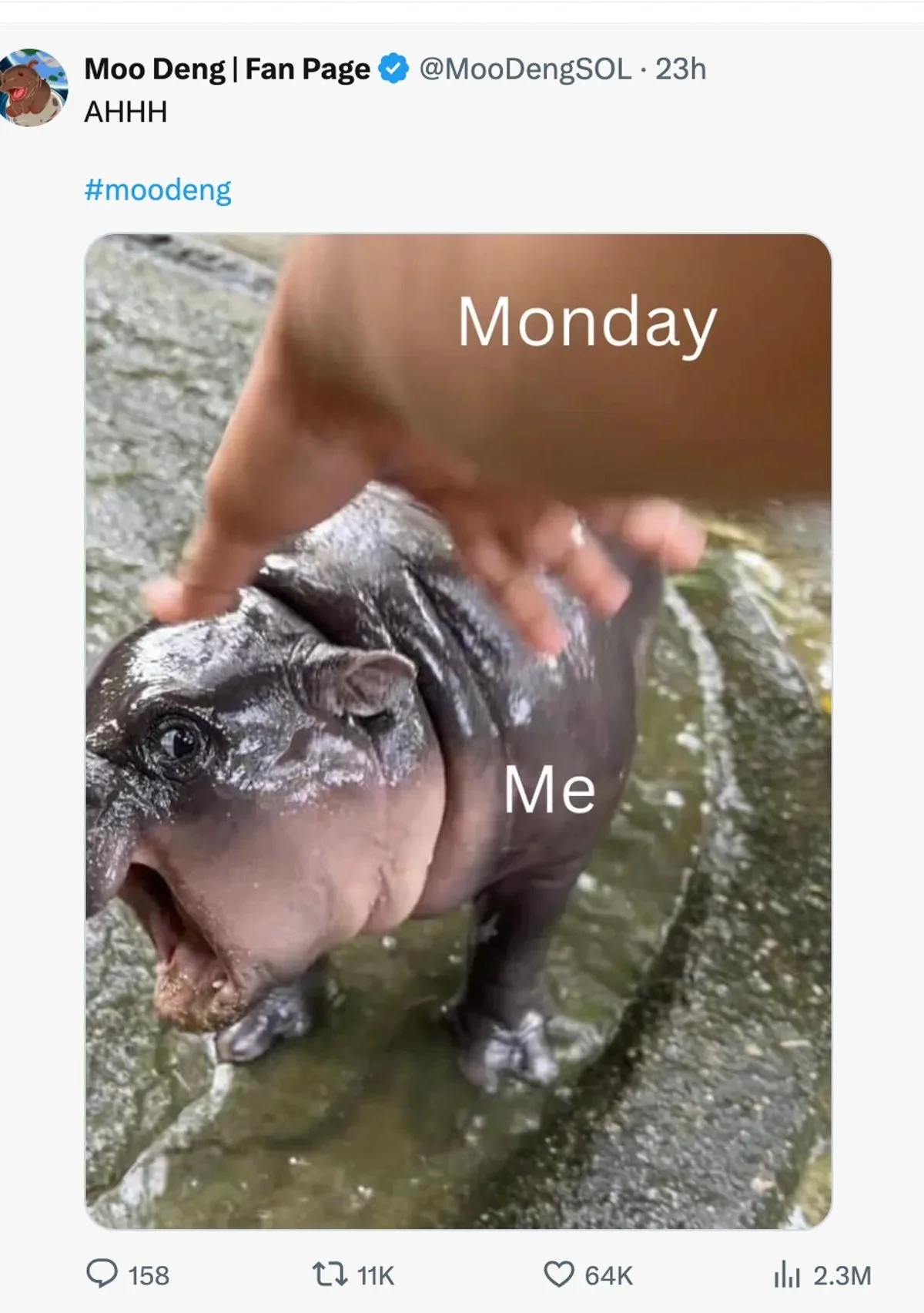 monday-meme-mdeng.jpeg