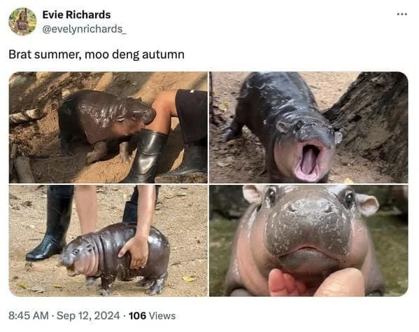 anothermoo7-1.jpeg