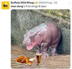 images.jpeg