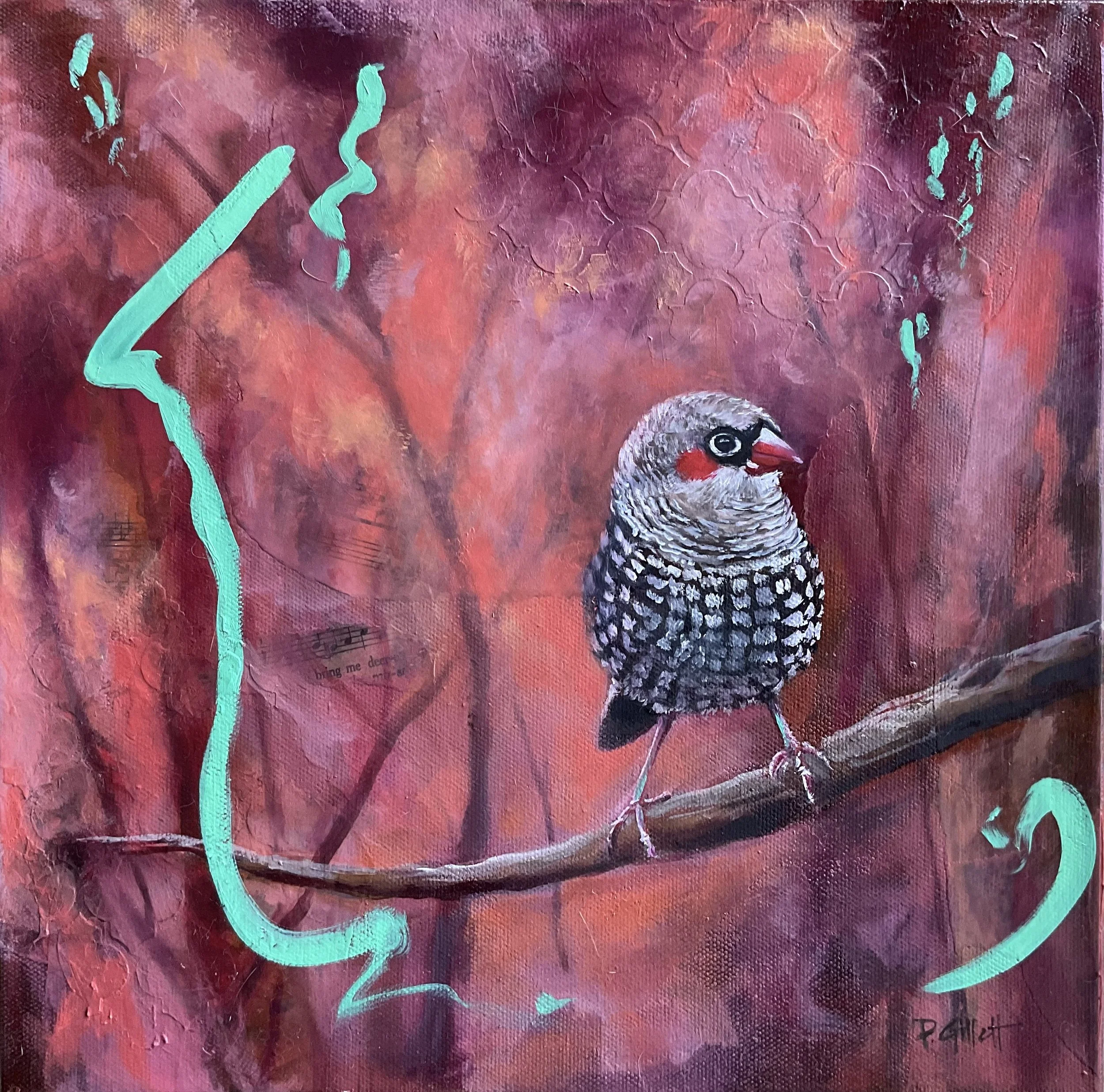 “You Said What!?” (Red Eared Firetail)