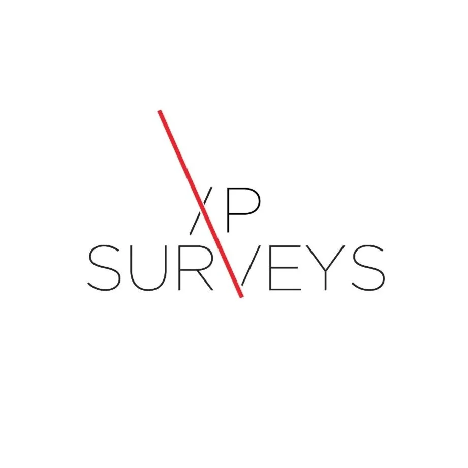 Logo with the text 'P SURVEYS' and a red slash through the letter 'P'.