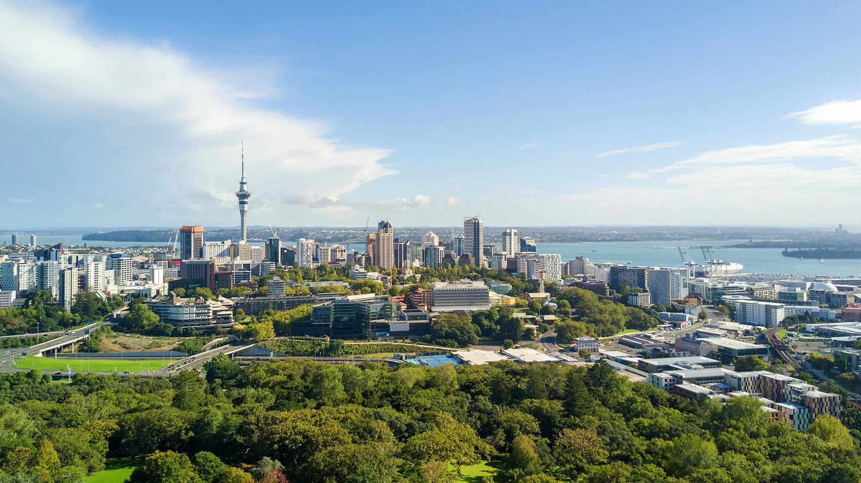 Maxillofacial Surgeons Head & Neck Oral & Facial Surgery Remuera