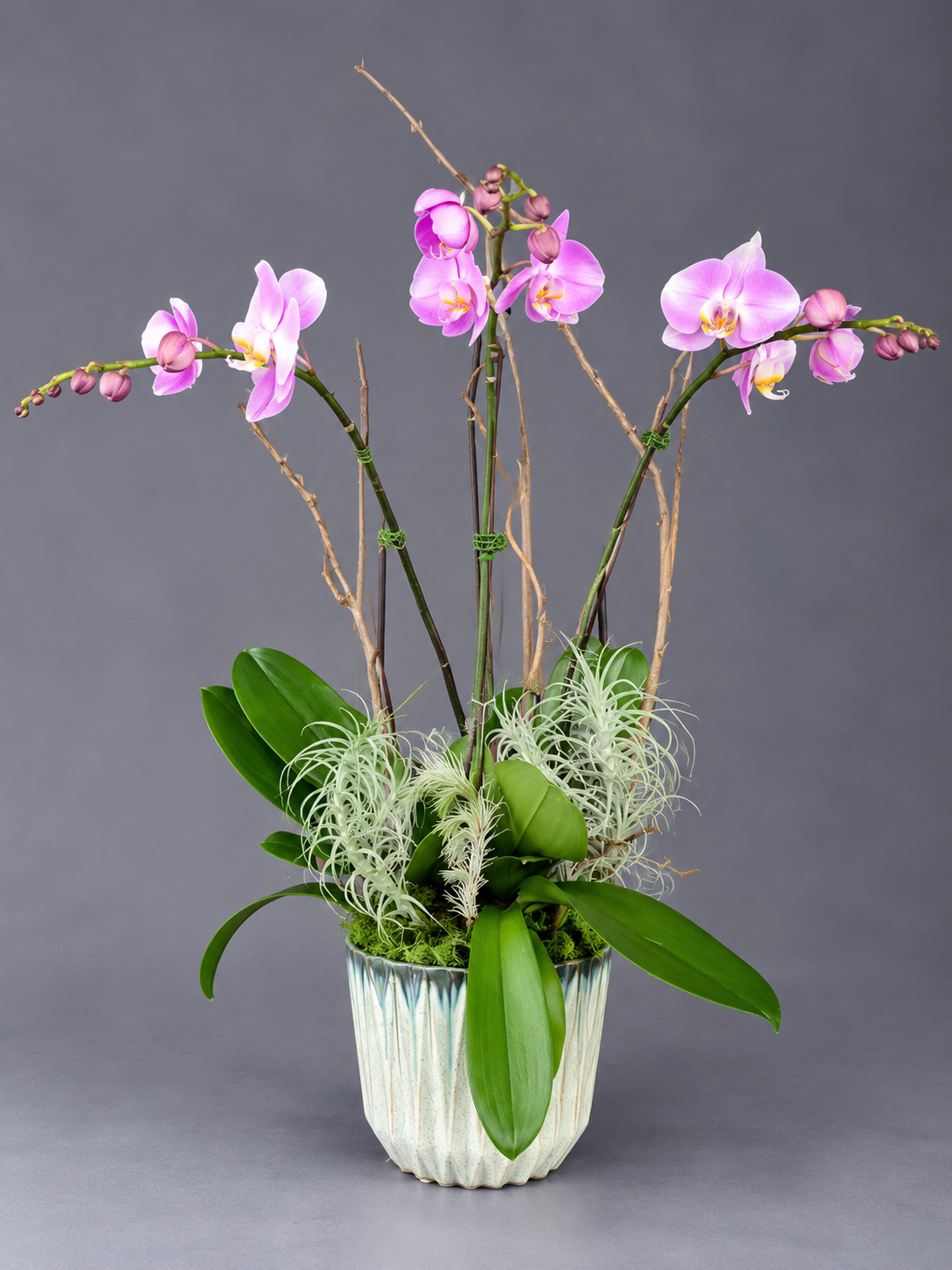 Pink Phalaenopsis Orchid Arrangement (1).png
