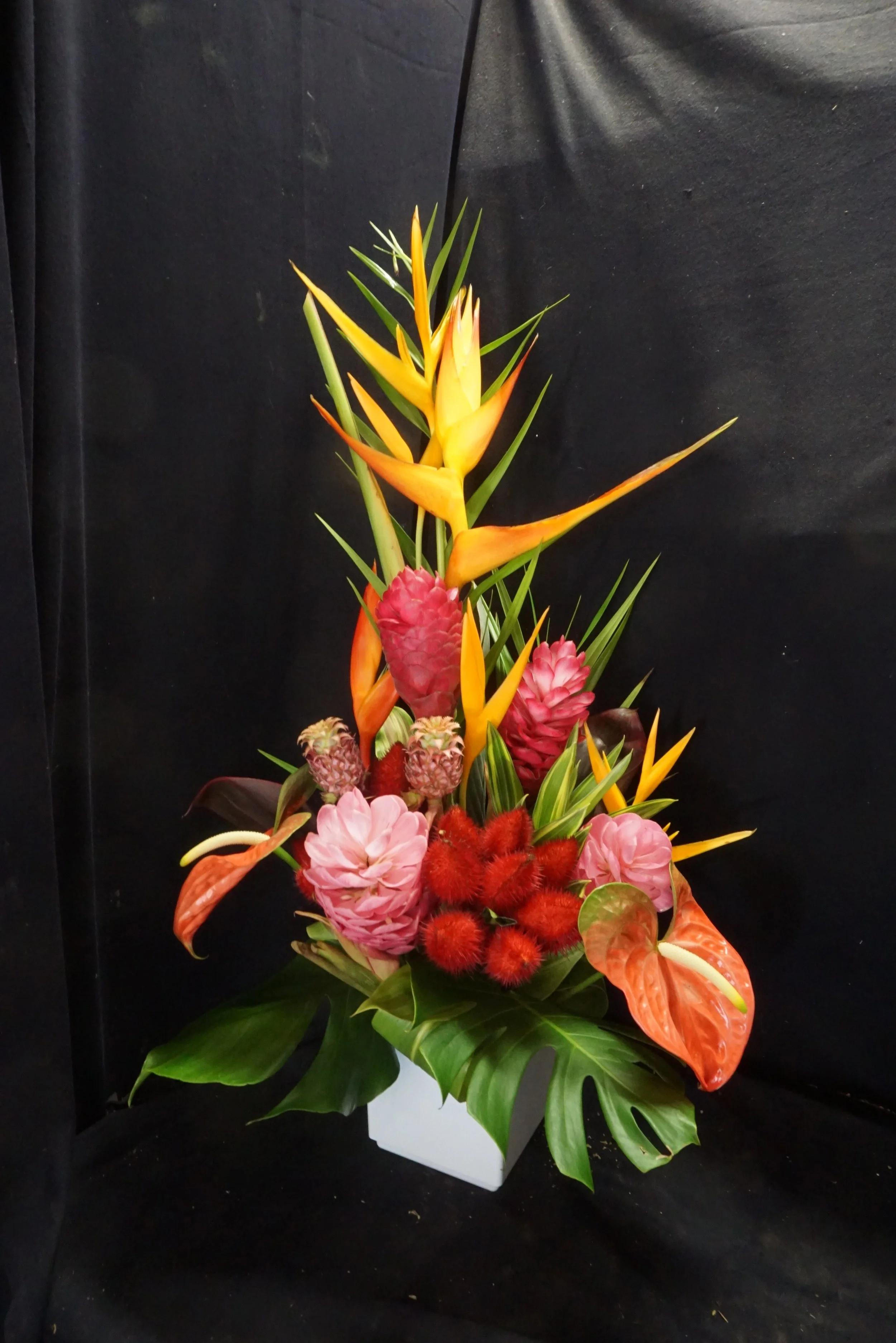 Local Tropical Upright