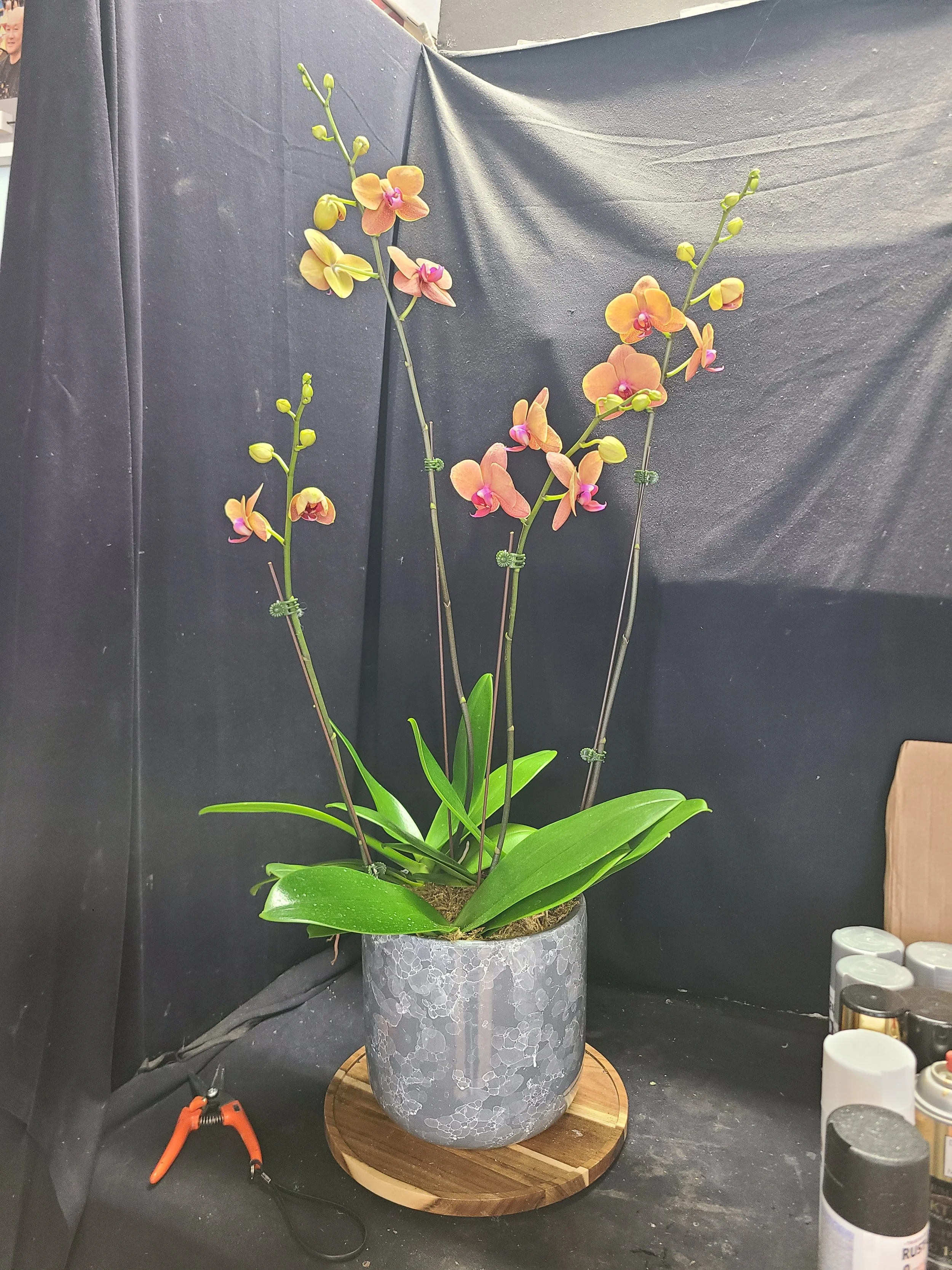 20251015_110644 1.jpg