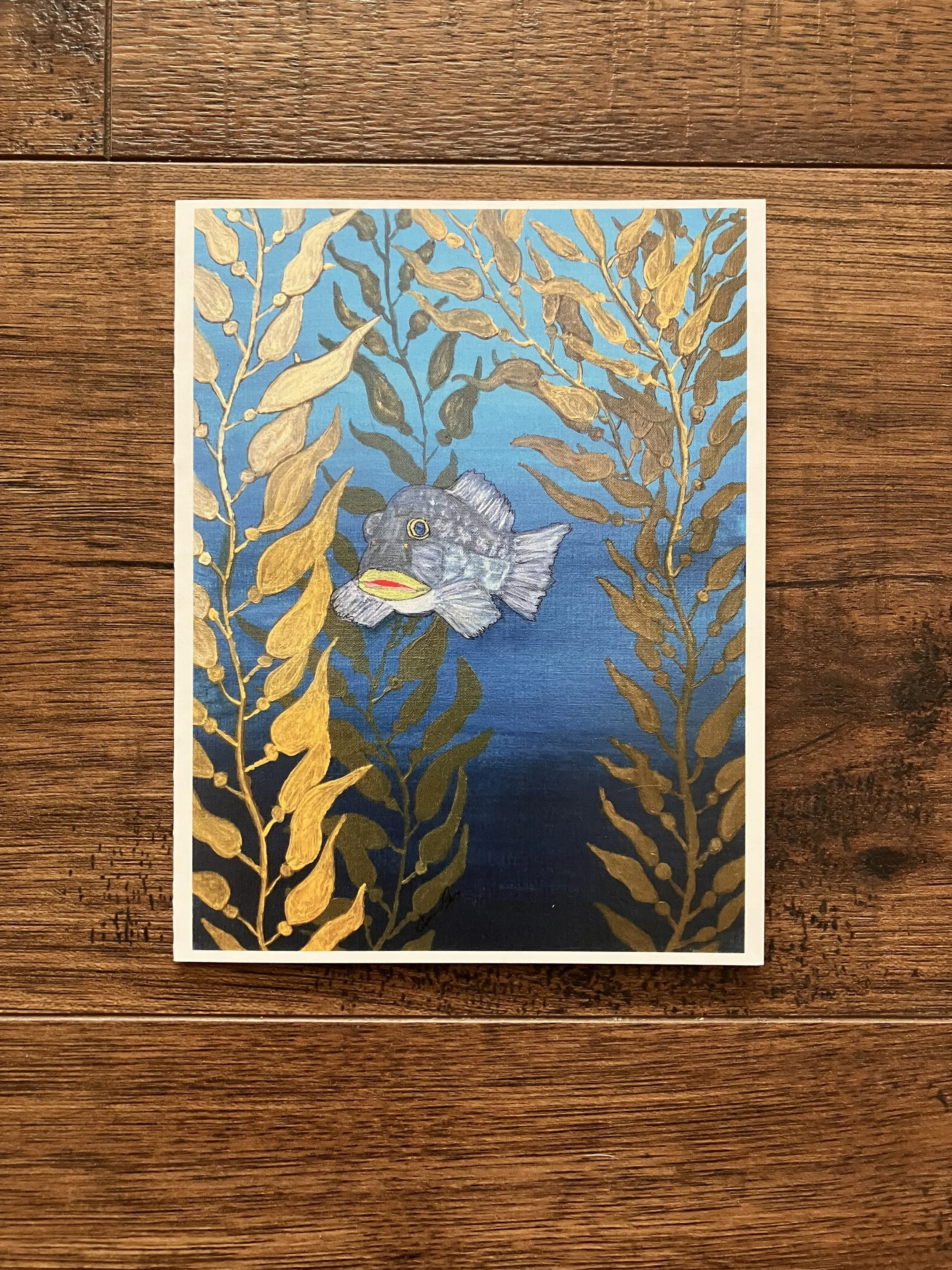Curious Kelp Bass Greeting Card