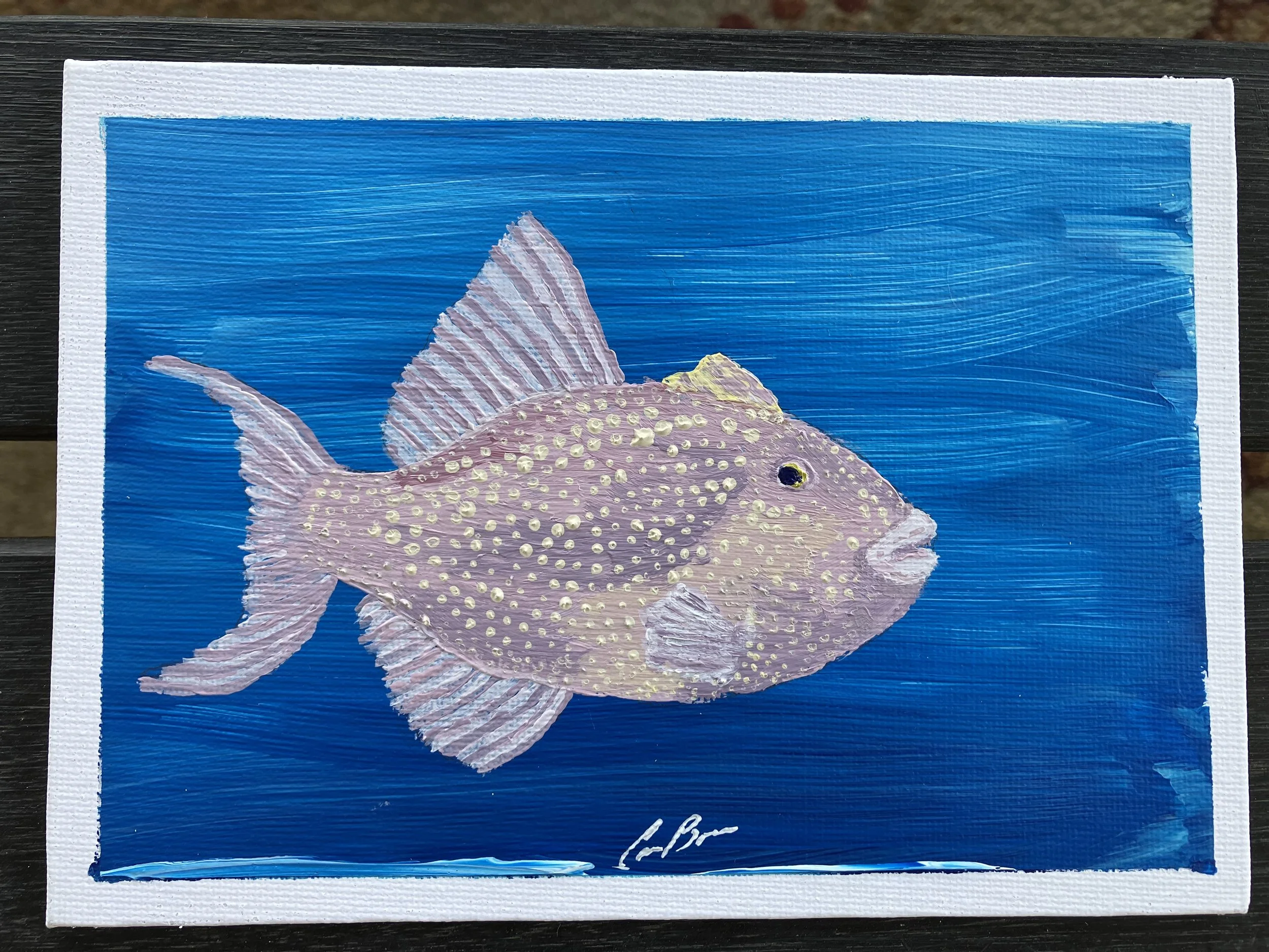Finescale Triggerfish Art Print