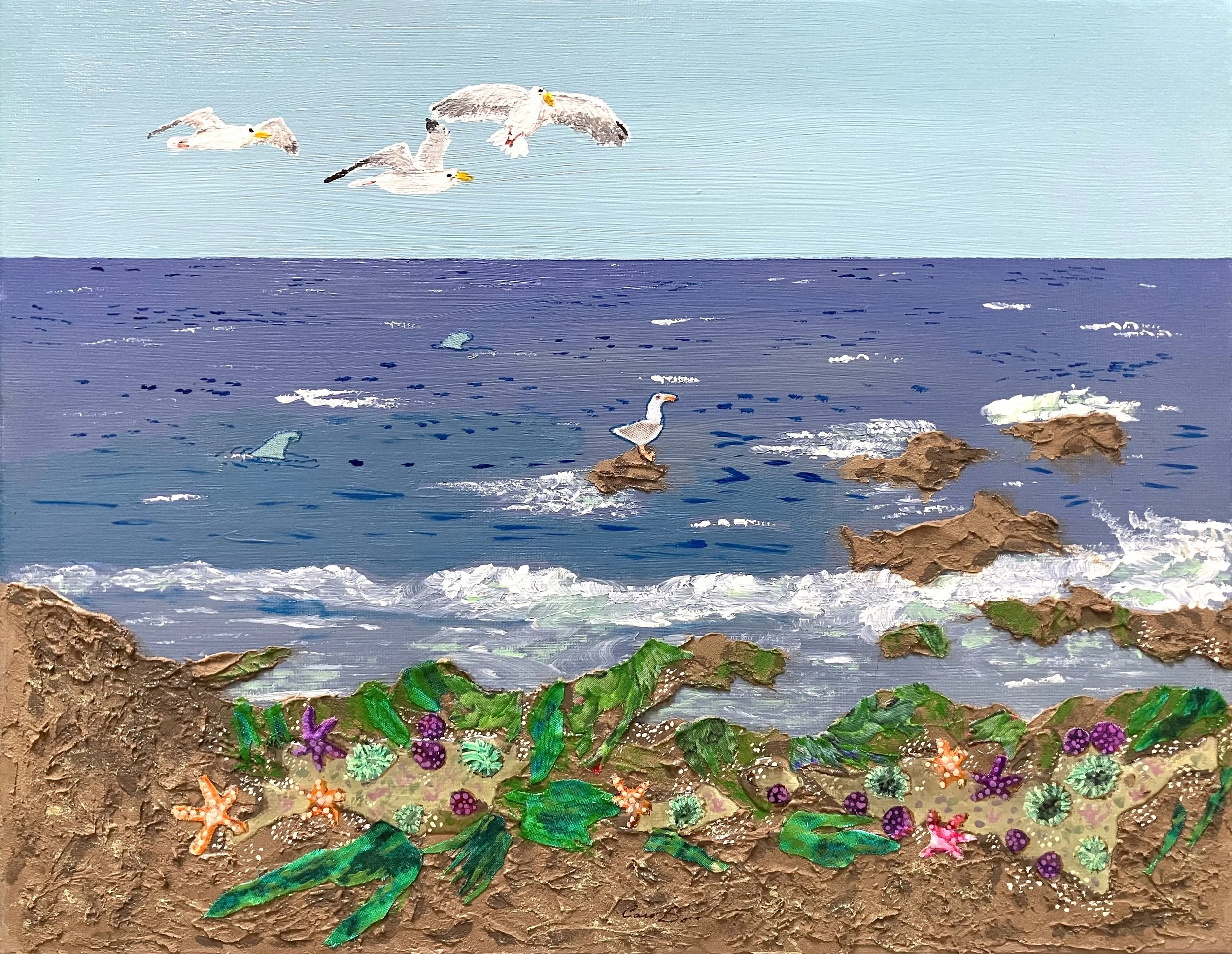 intertidal_zone.jpeg