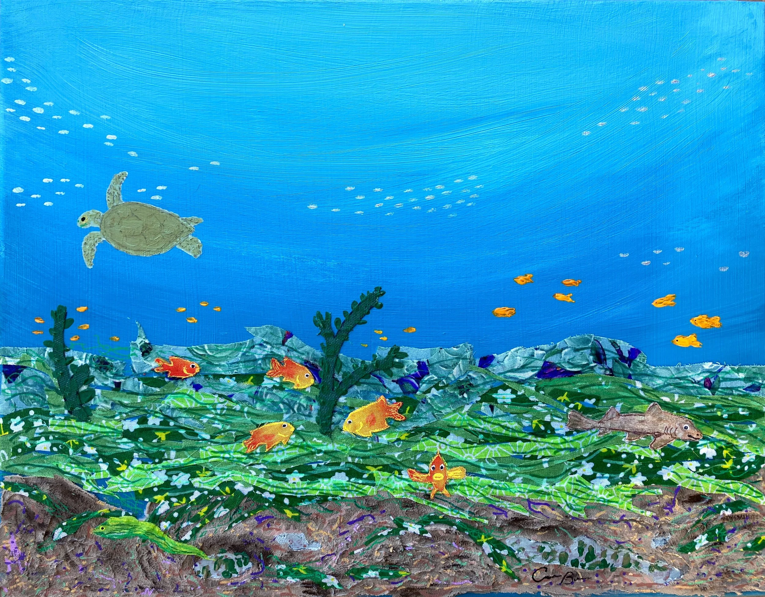 seagrass_meadow.jpeg