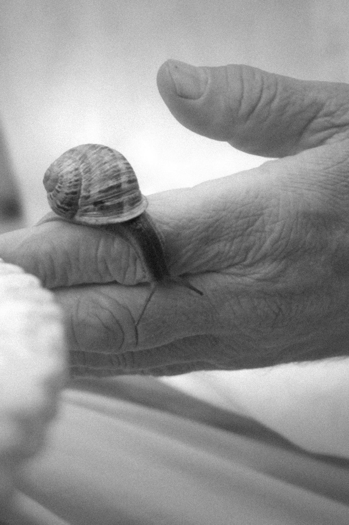 Captura de pantalla 2025-06-09 a las 18.jpg