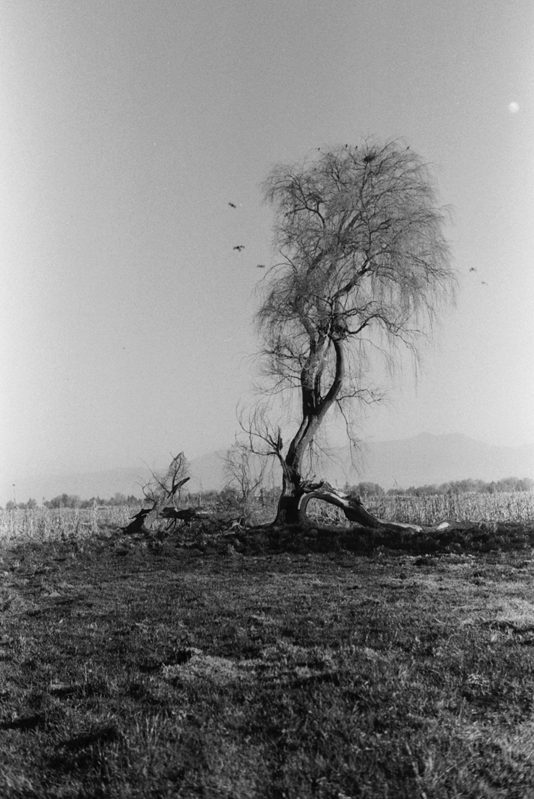 Captura de pantalla 2025-06-25 a las 11.03.04.png