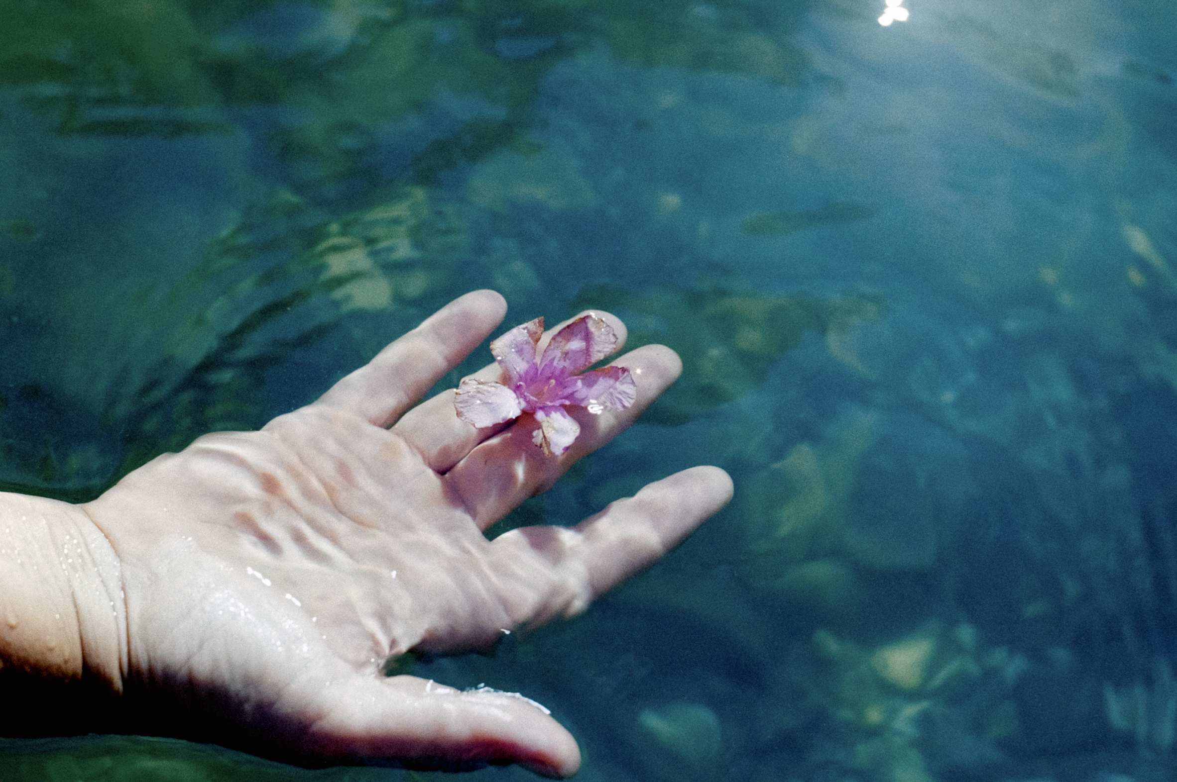 Captura de pantalla 2025-06-25 a las 10.17.21.png