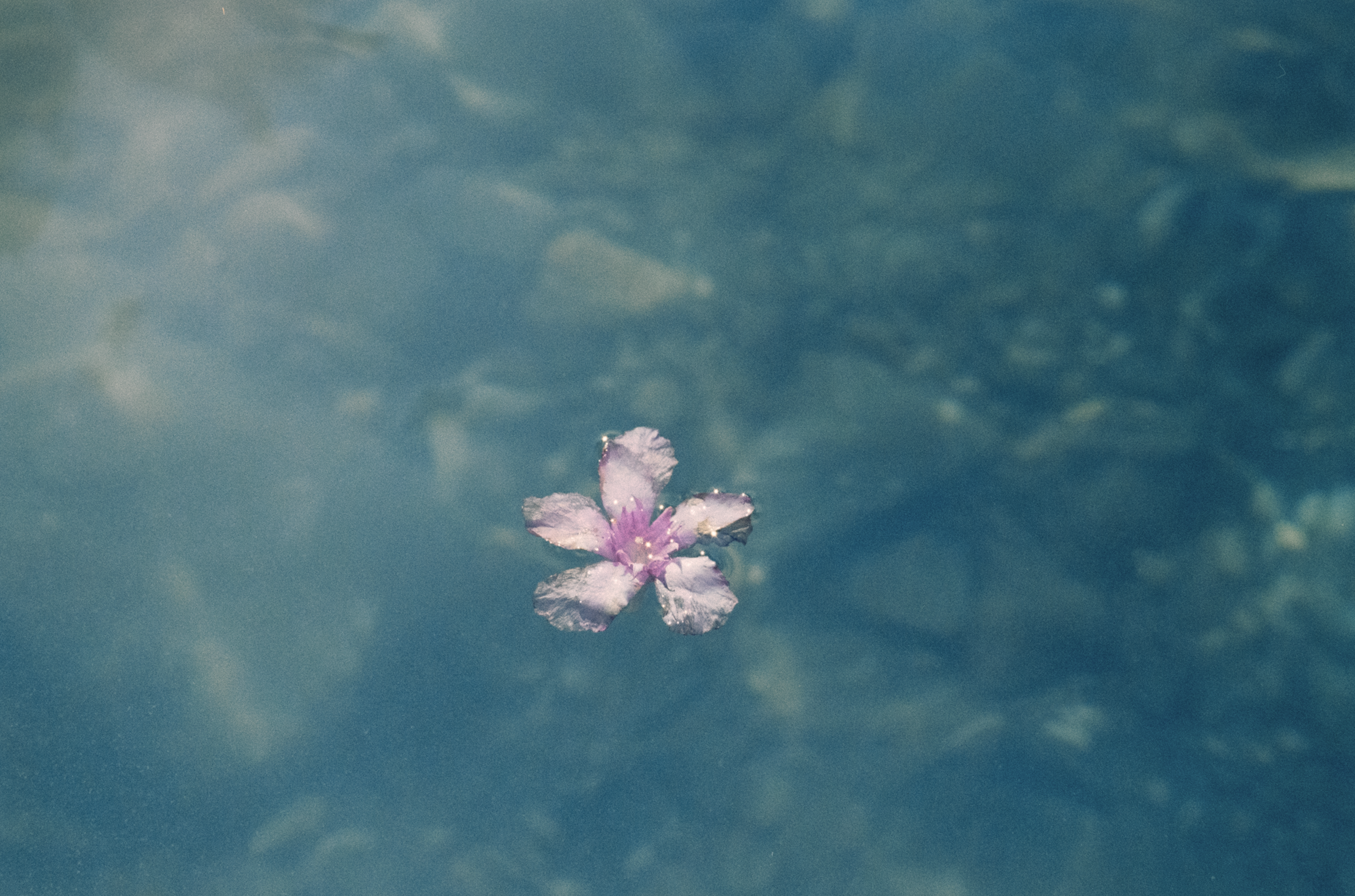 Captura de pantalla 2025-06-25 a las 10.17.36.png