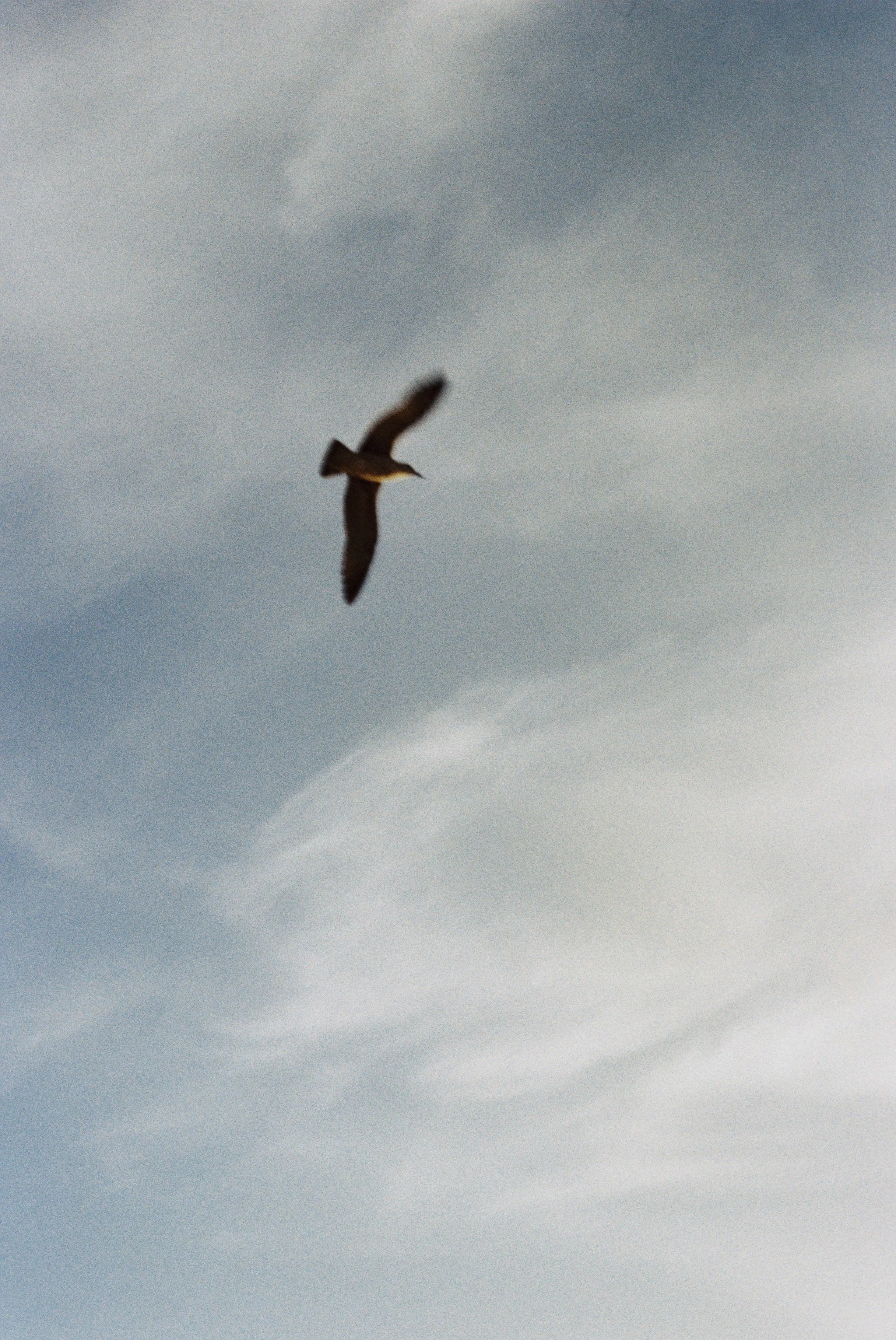 Copia de 742934_003.jpg