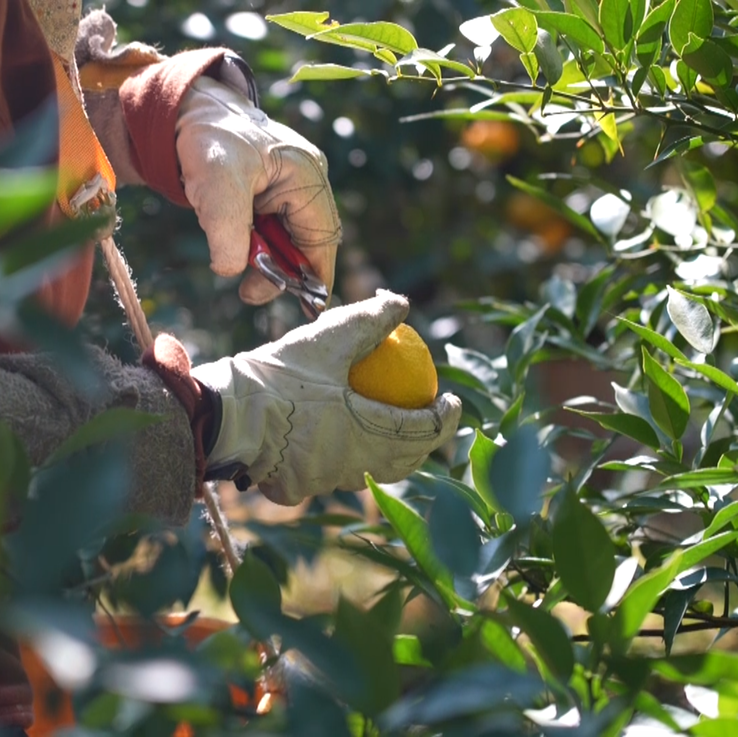 Screenshot 2025-07-09 at 15.20.19.png