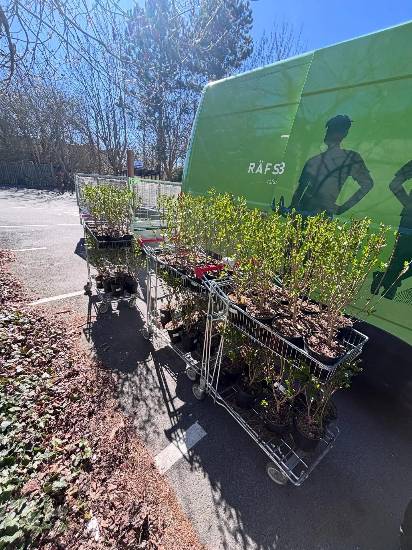 H&auml;r kommer lite bilder och videos fr&aring;n ett av v&aring;ra st&ouml;rre jobb den h&auml;r veckan! 🌿 
Vi hj&auml;lpte en kund att plantera en helt ny ligusterh&auml;ck, riktigt snyggt resultat!

&Auml;r du ocks&aring; sugen p&aring; en ny h&a