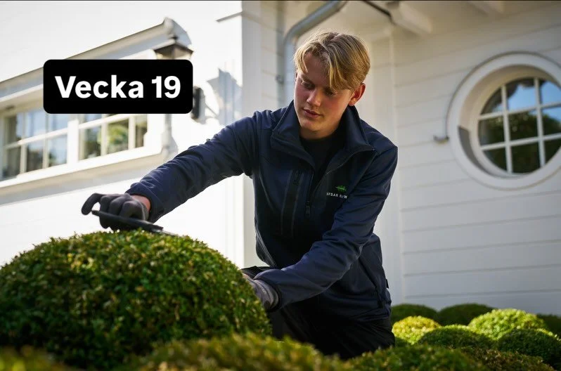 Vecka 19 🌿

Vi rullar vidare i s&auml;songen och dagarna forts&auml;tter fyllas med jobb ute hos v&aring;ra kunder 🌱

Den senaste veckan har vi mestadels utf&ouml;rt h&ouml;gtryckstv&auml;tt av uteplatser, g&aring;ngar och andra ytor f&ouml;r att f