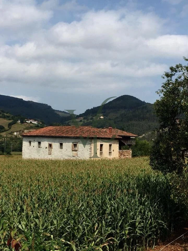 WhatsApp Image 2025-11-28 at 18.44.28.jpg