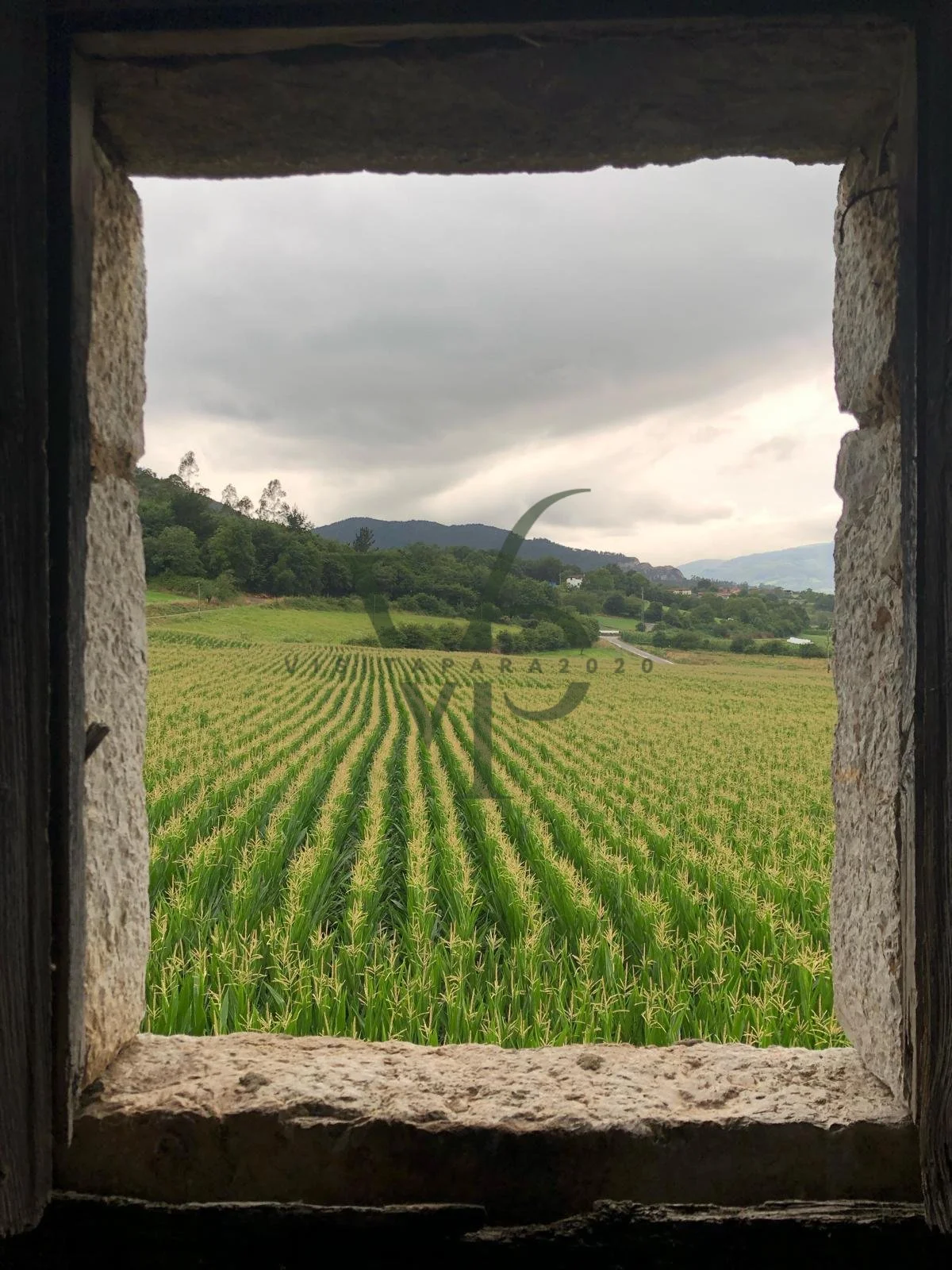 WhatsApp Image 2025-11-28 at 18.44.30 (2).jpg