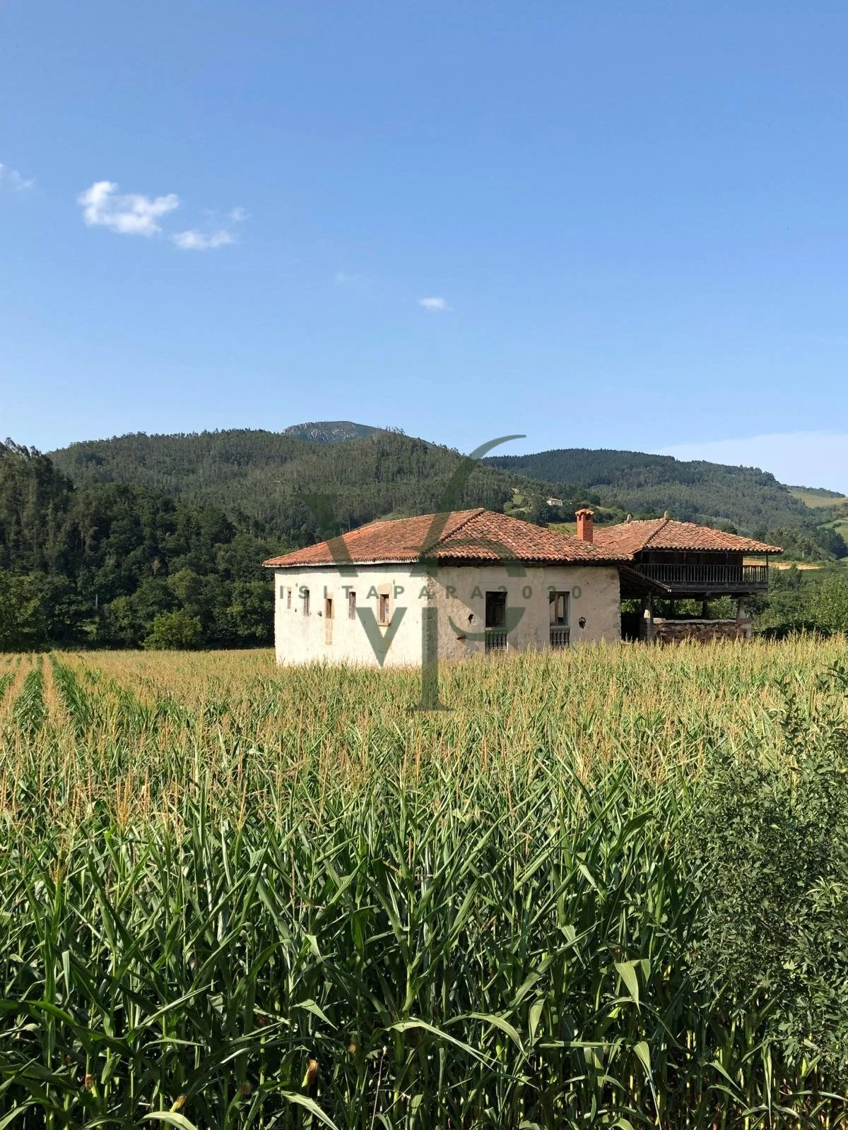 WhatsApp Image 2025-11-28 at 18.44.28 (2).jpg