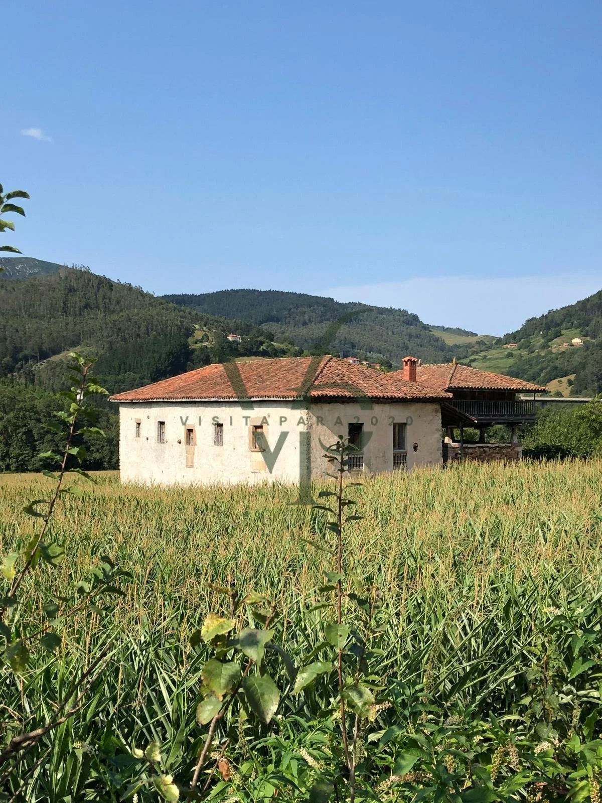 WhatsApp Image 2025-11-28 at 18.44.28 (6).jpg