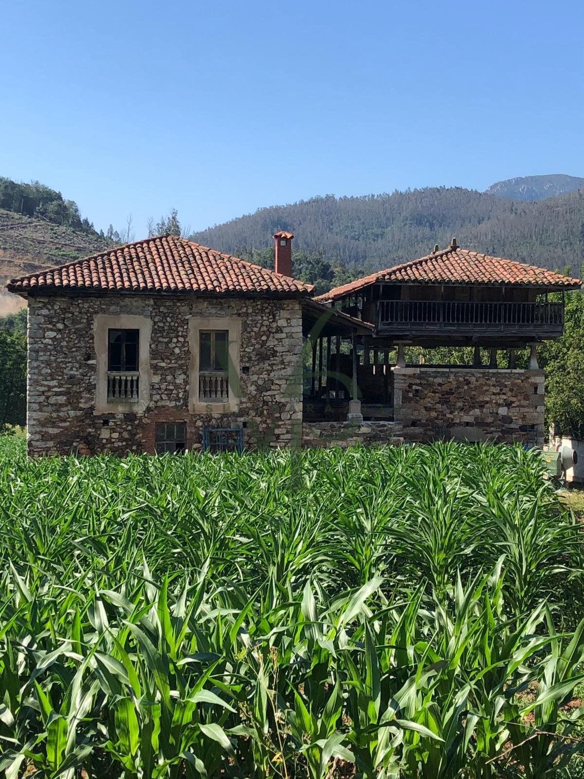 WhatsApp Image 2025-11-28 at 18.44.27 (3).jpg