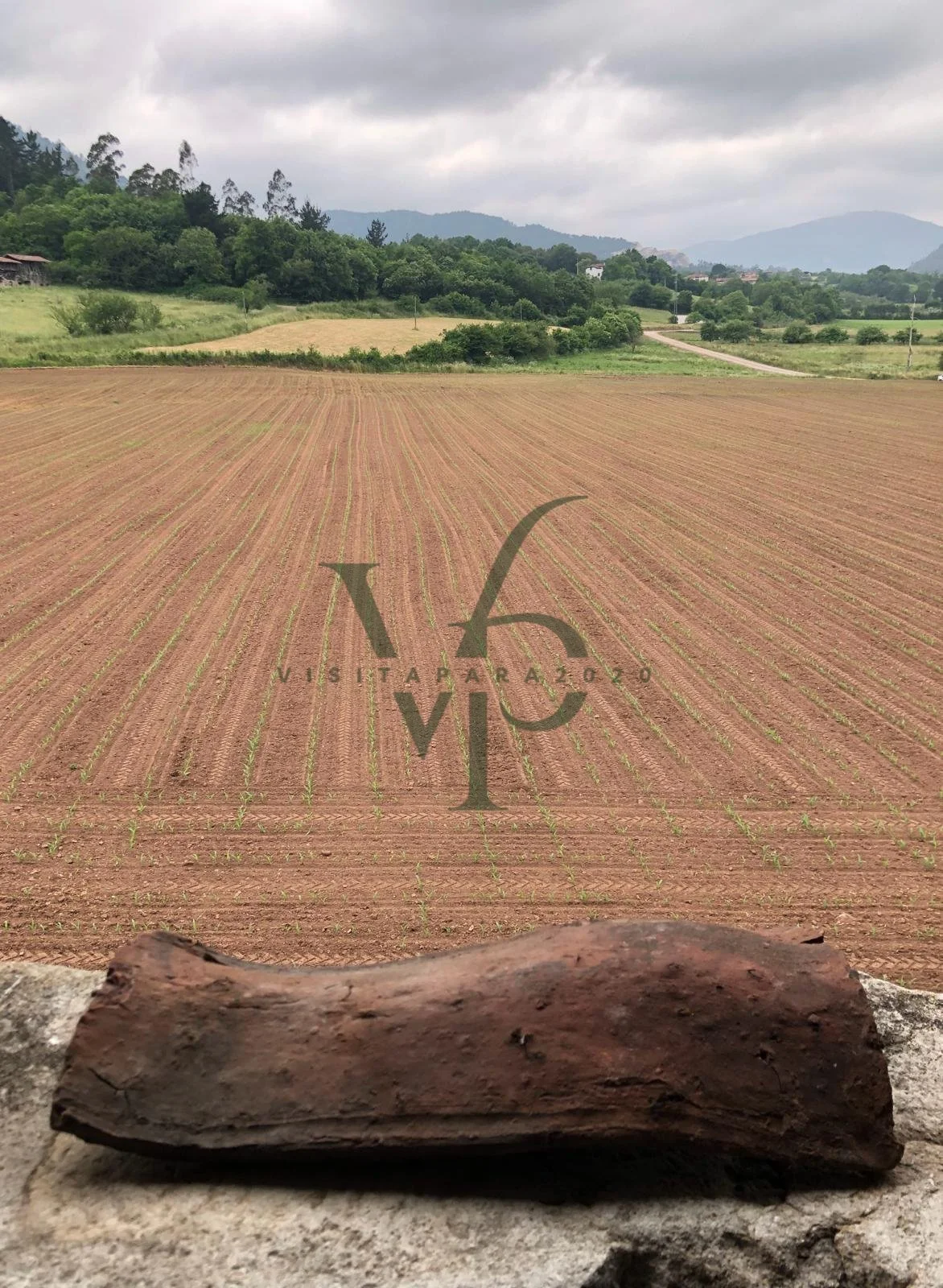 WhatsApp Image 2025-11-28 at 18.44.28 (7).jpg