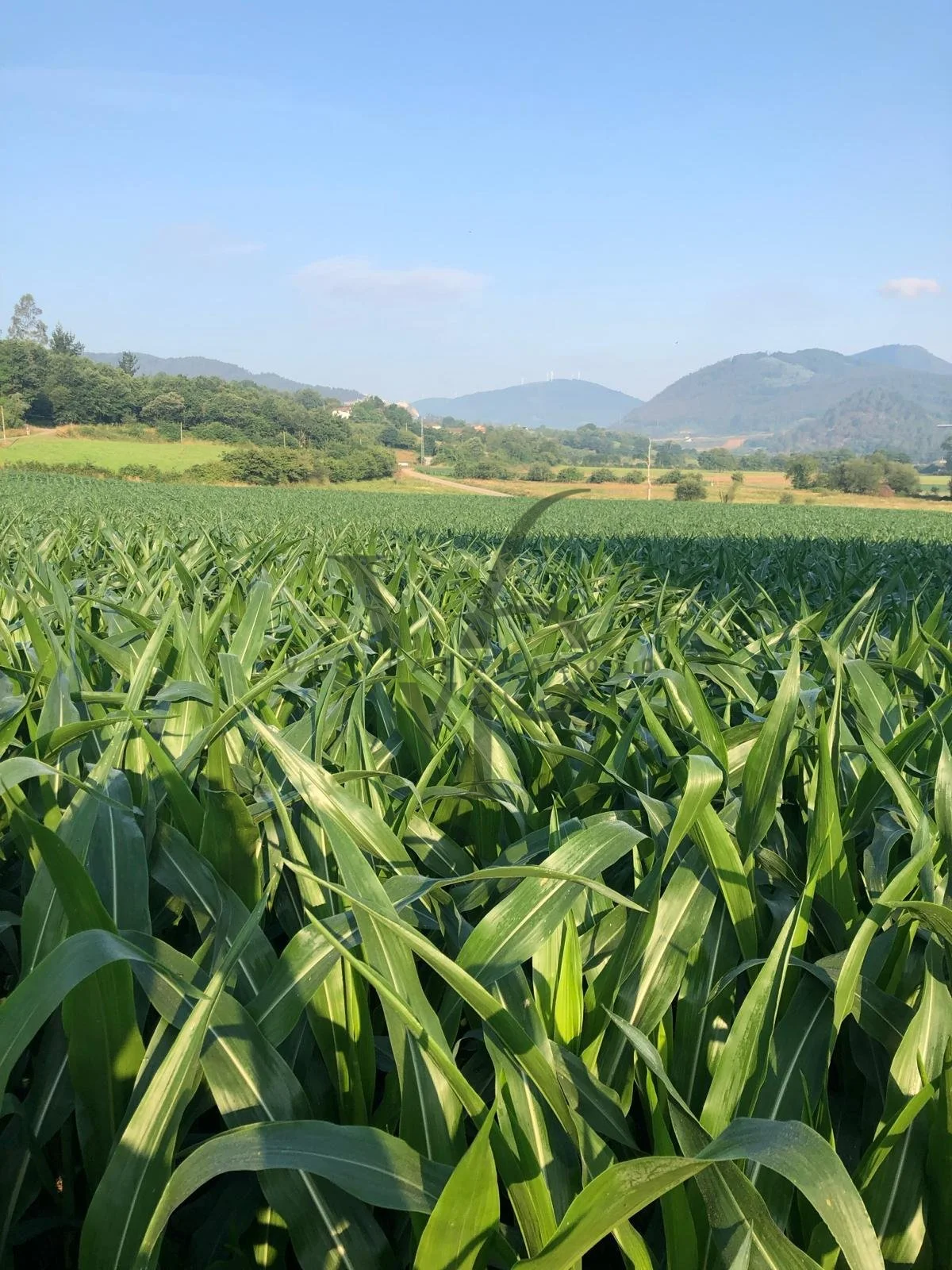 WhatsApp Image 2025-11-28 at 18.44.28 (3).jpg