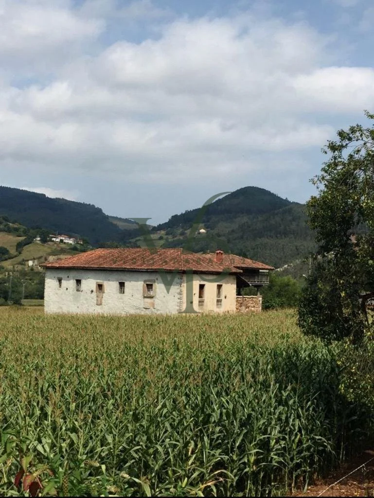 WhatsApp Image 2025-11-28 at 18.44.28 (1).jpg