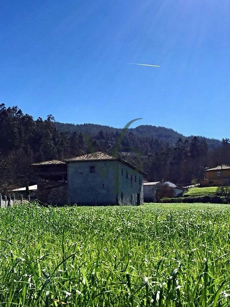 WhatsApp Image 2025-11-28 at 18.44.29 (1).jpg