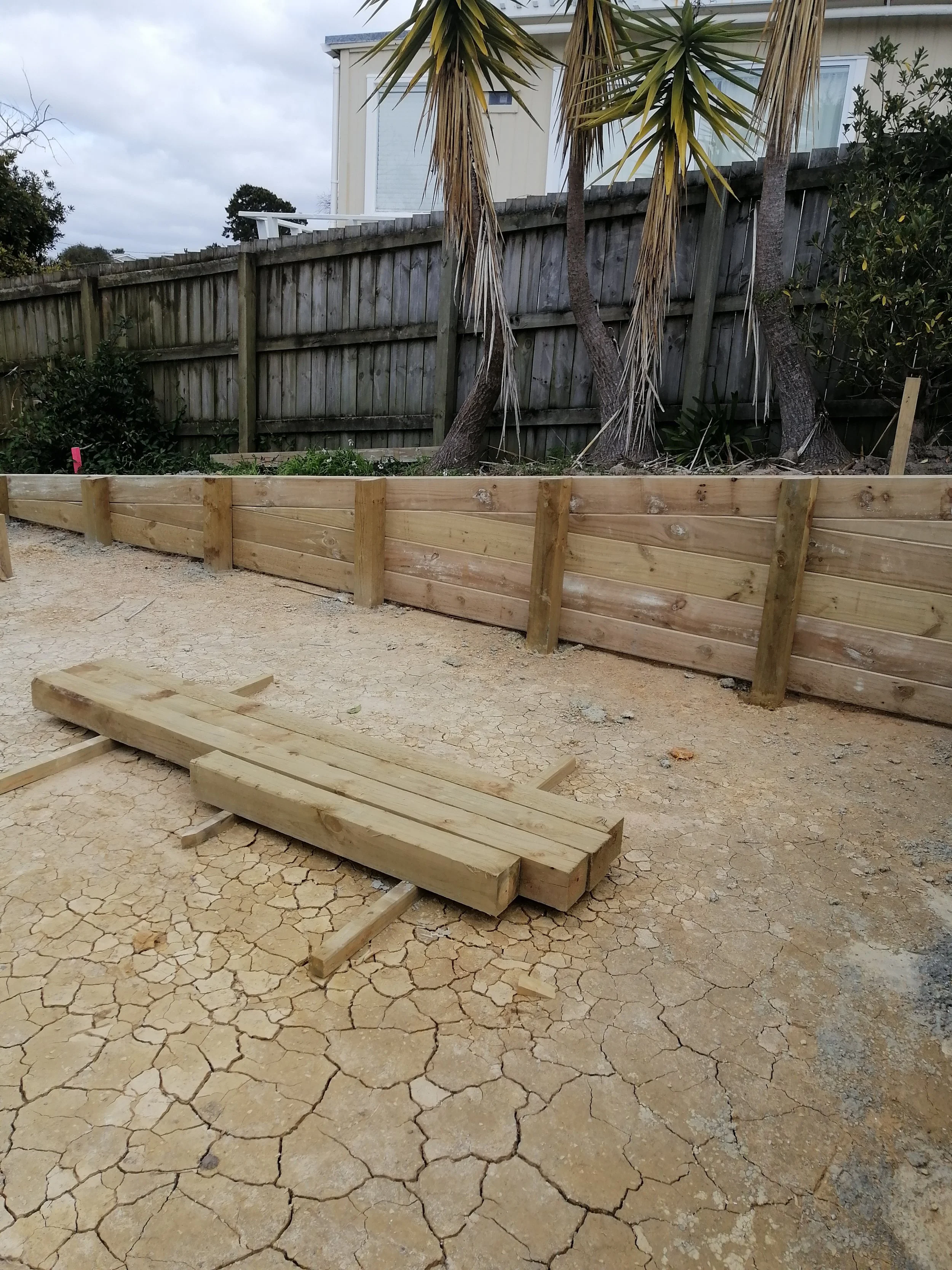 A partially built wooden fence in a backyard with cracked dirt ground, three palm trees, and a neighboring house in the background.