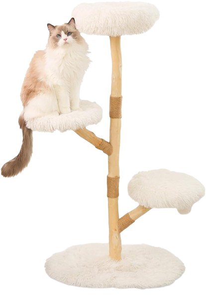 Cat Tree