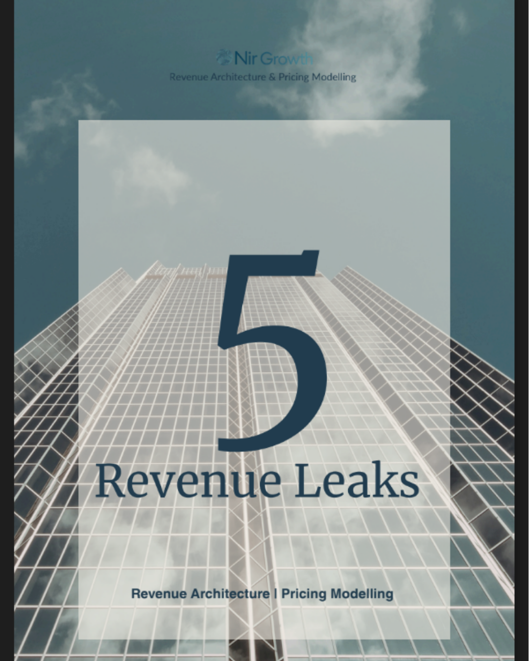 5 Revenue Leaks