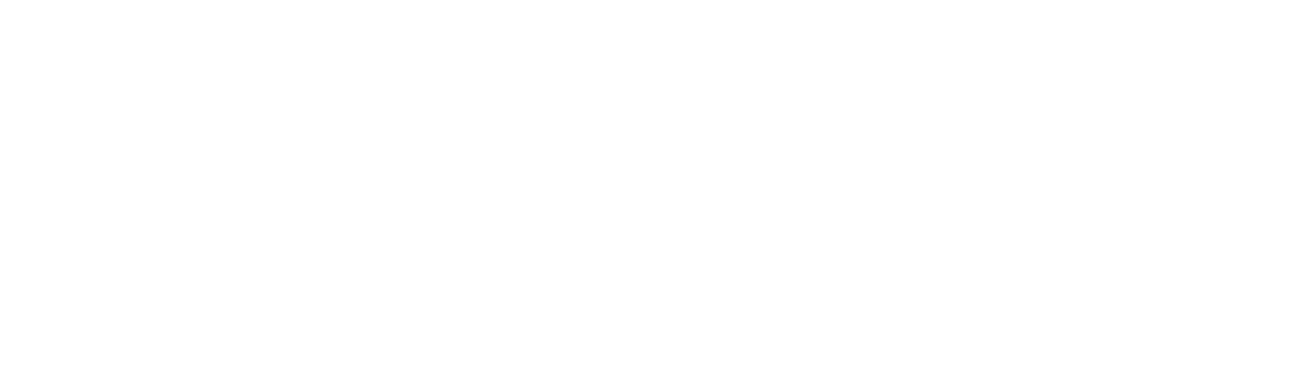 Logo with a black square background, a white geometric shape resembling a stylized graph or chart, and the text 'The Essence Line' written in large white letters on the right side.