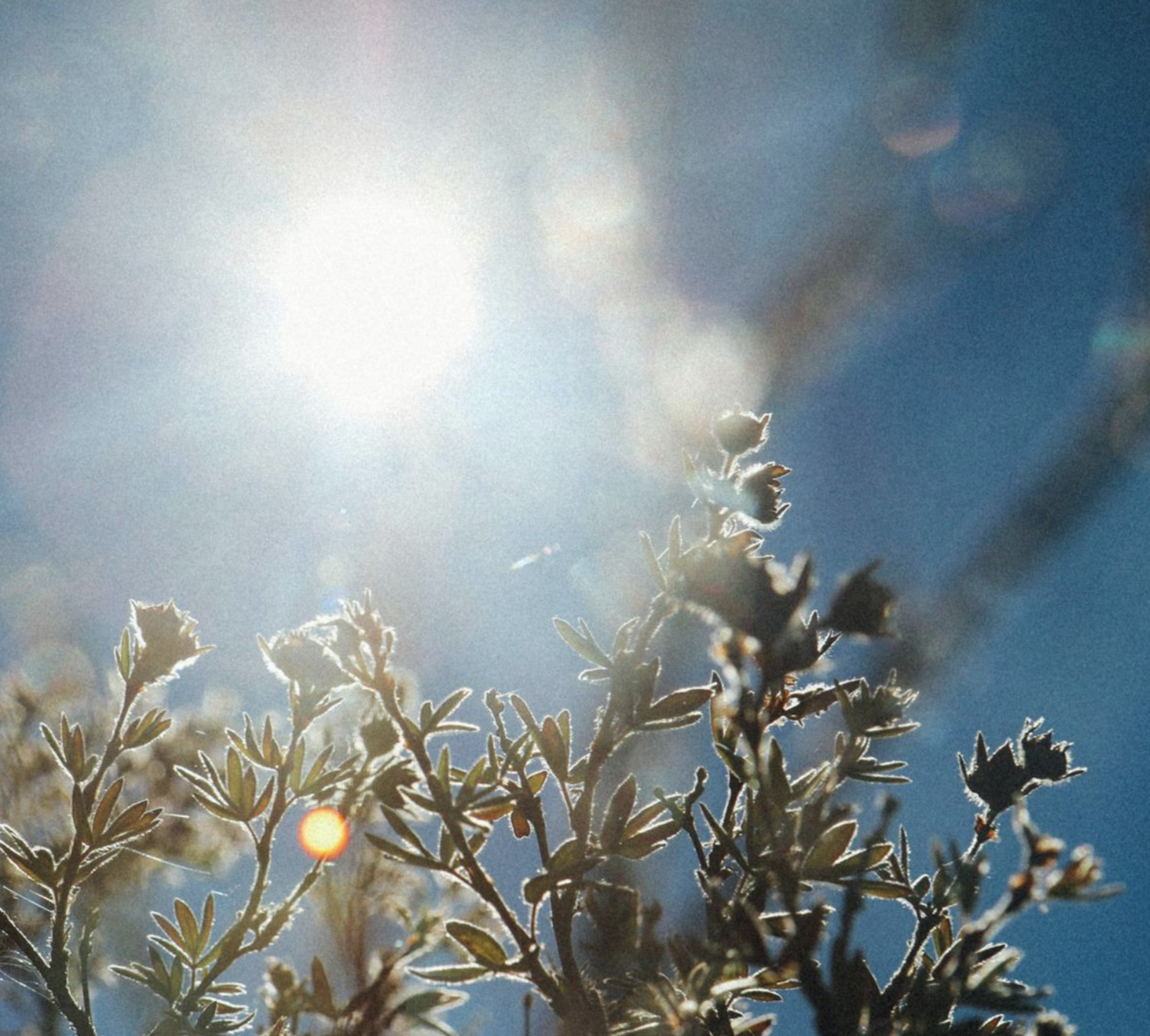 "Comment les détours créatifs révèlent nos prises de conscience ?"