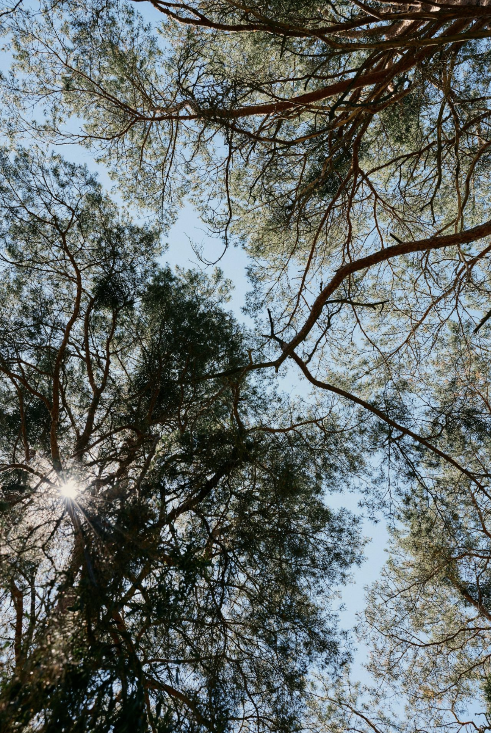 Ouverture d'esprit et facilitation. Accompagnement sur mesure.