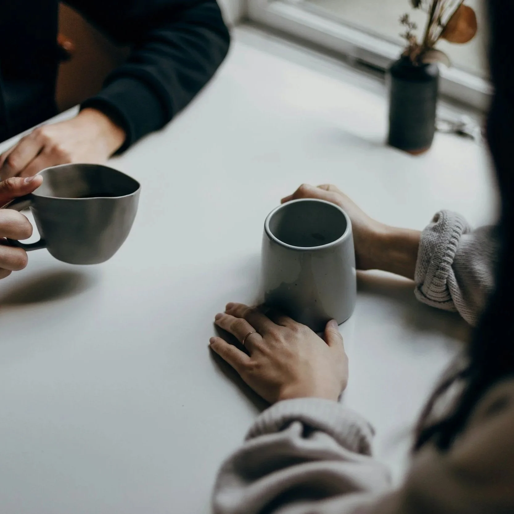 Prendre contact avec Vanessa pour planifier une rencontre ou lui poser des questions.