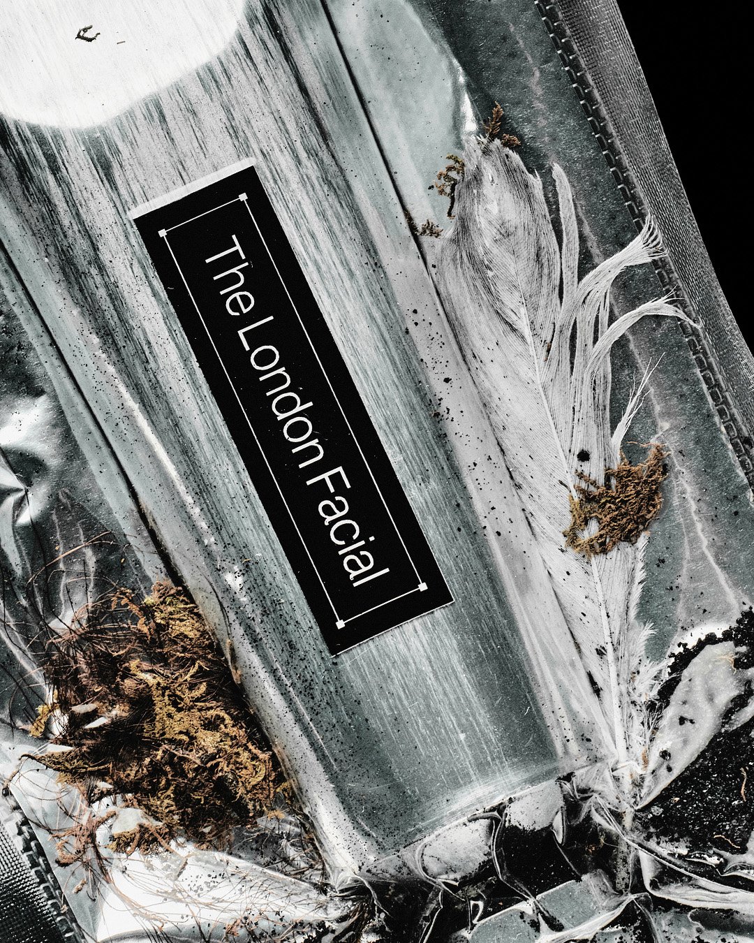 NIOD (LDN)_Sam Nicklin_3.jpg