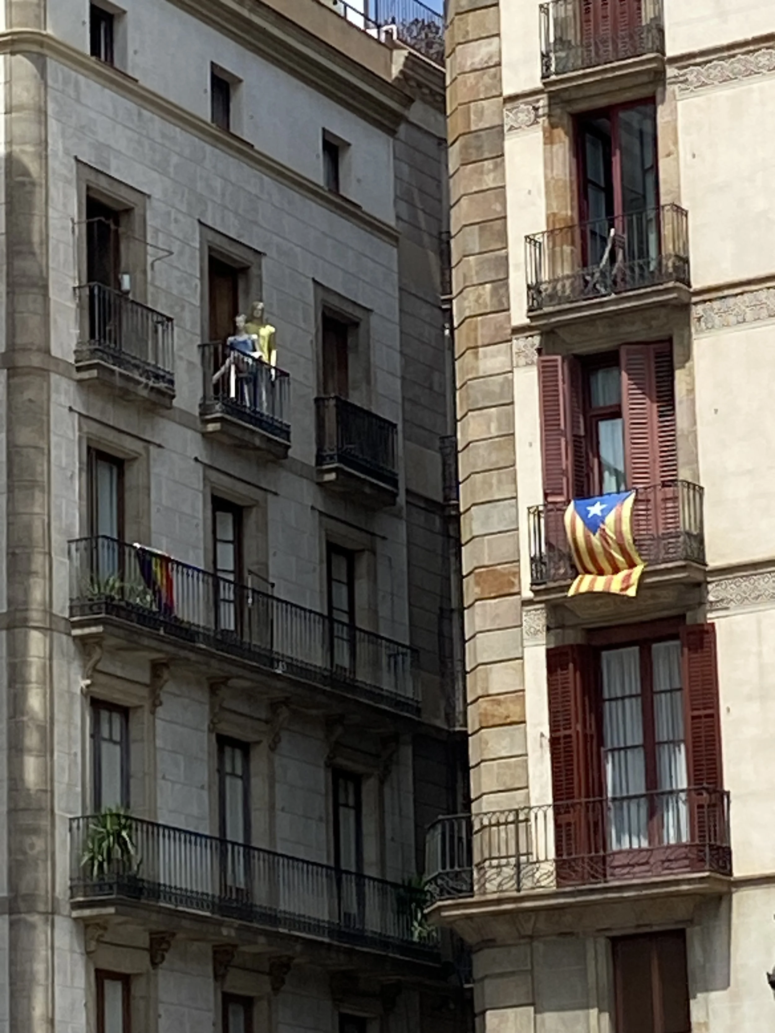 IMG_6731.jpeg