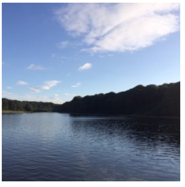 Why bother with meditation?