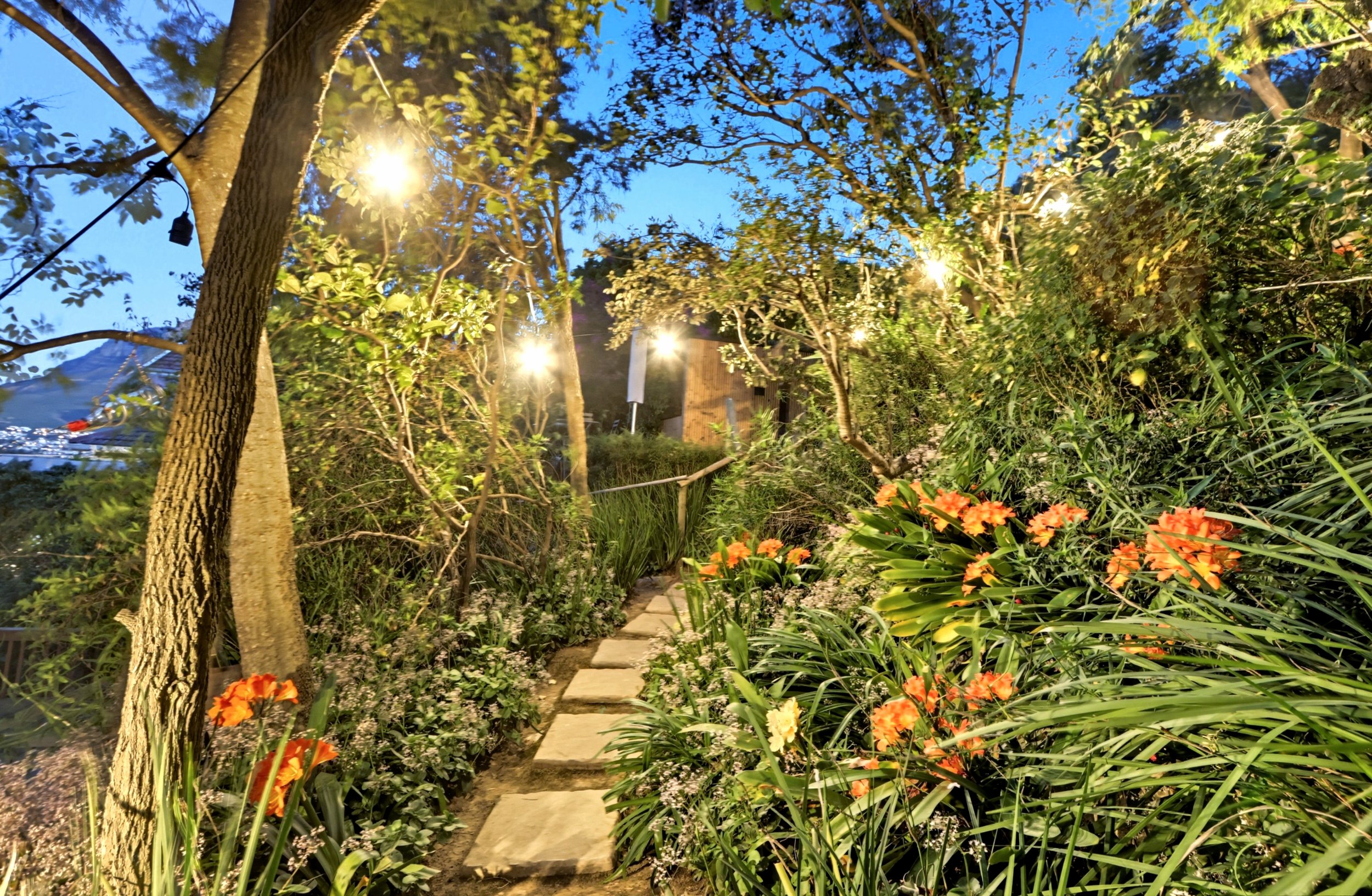 Pathway at night.jpg