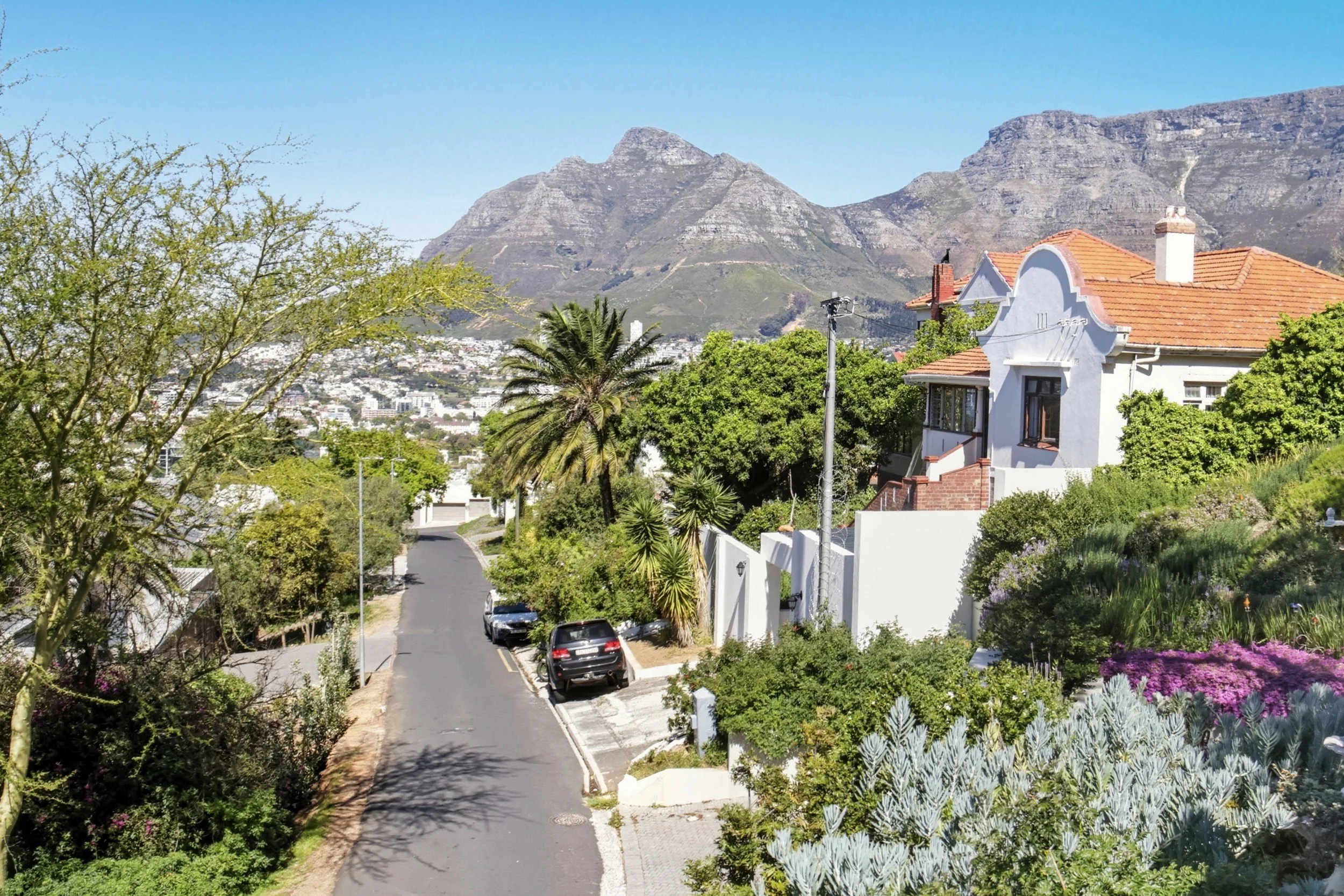 Mountain view copy.jpg