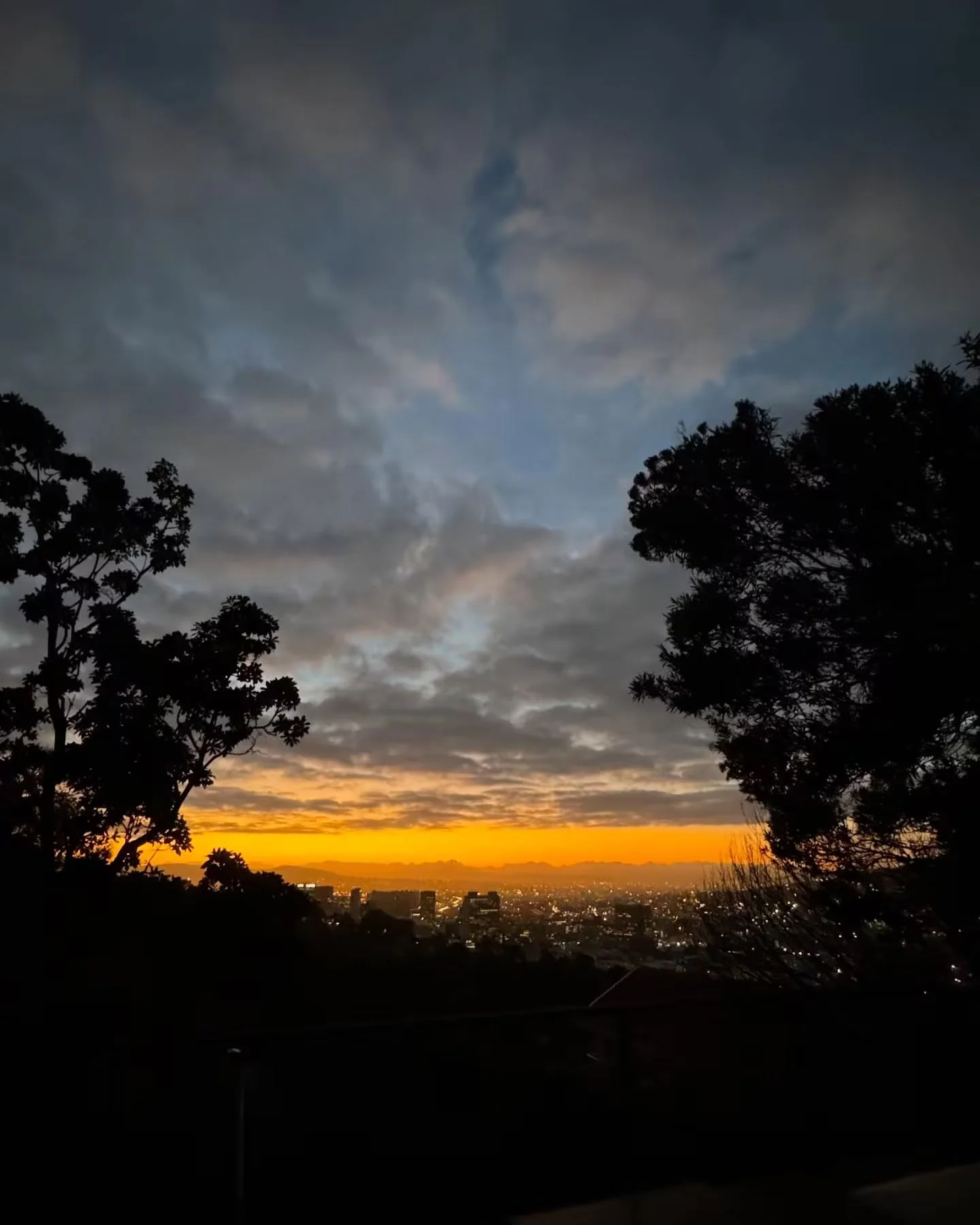 c67cc113-14d8-458c-8091-60b90100a081.jpeg.jpg