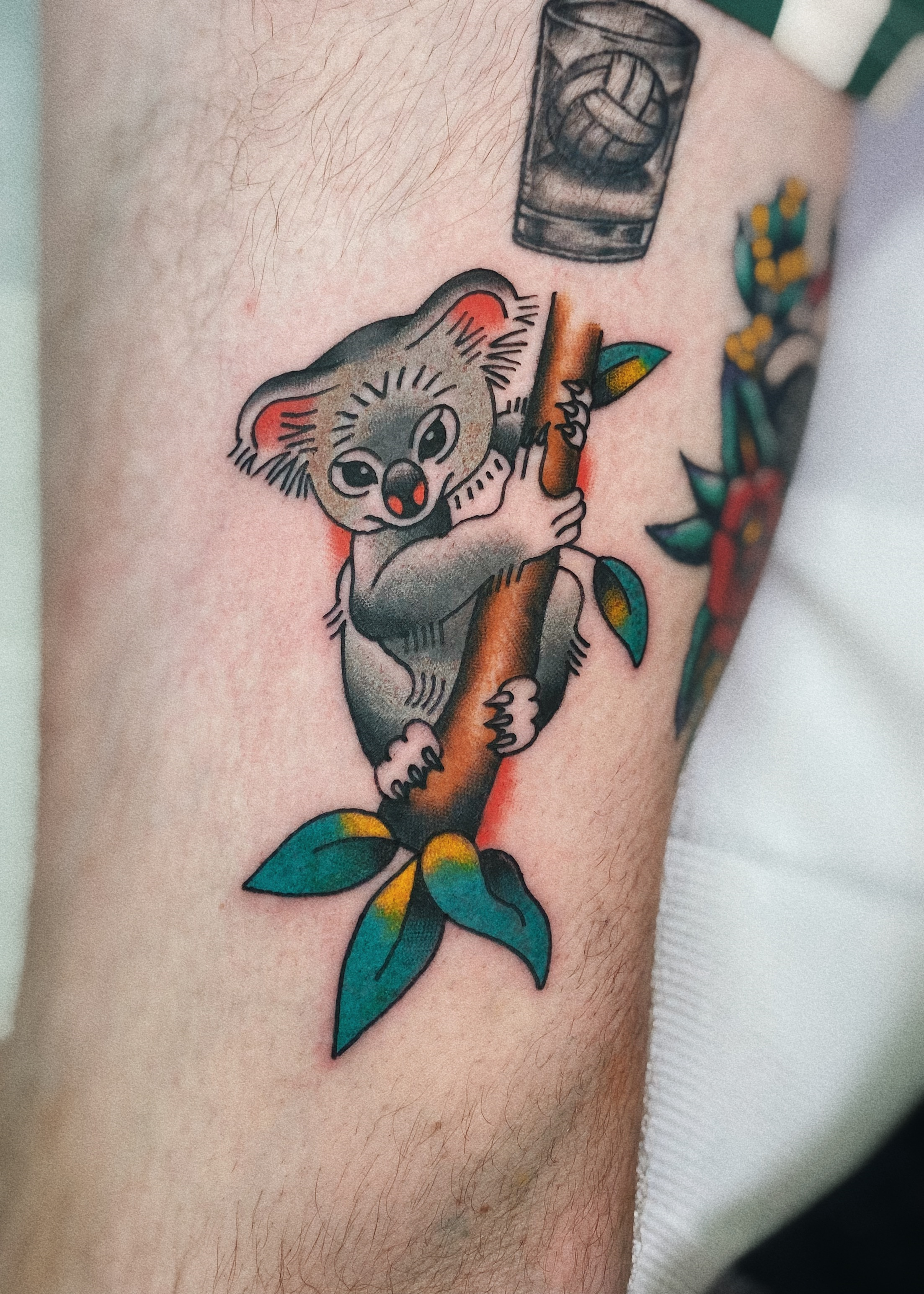 Hamish Robins Traditional Koala Tattoo Brisbane West End Queensland Australia