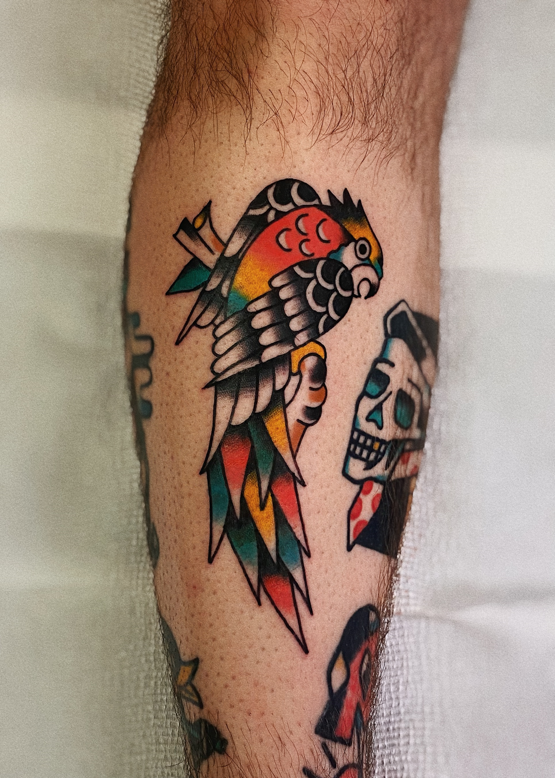 Hamish Robins Traditional Parrot Tattoo Brisbane West End Queensland Australia