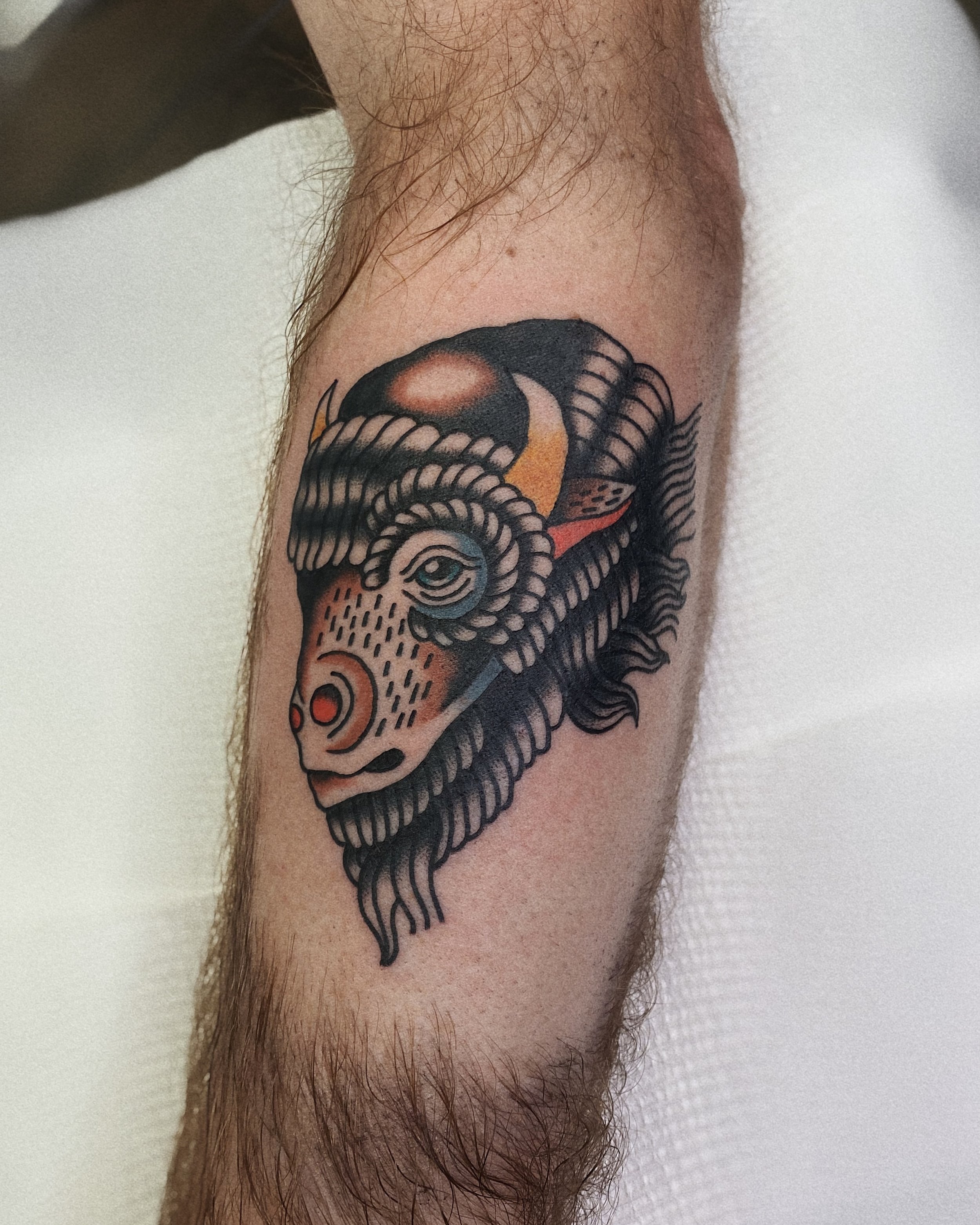Hamish Robins American Traditional Tattoo Bison West End Brisbane Queensland
