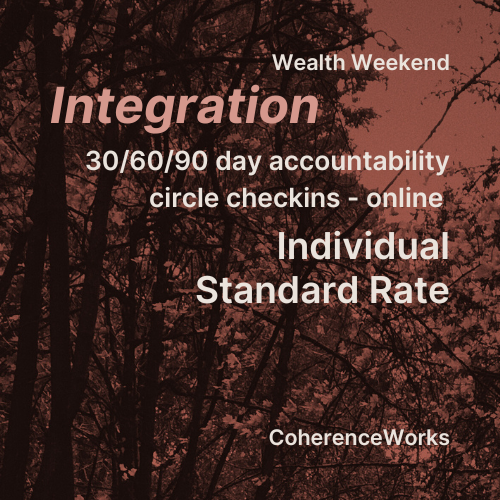 Integration: Accountability Circle, Individual, Standard Rate