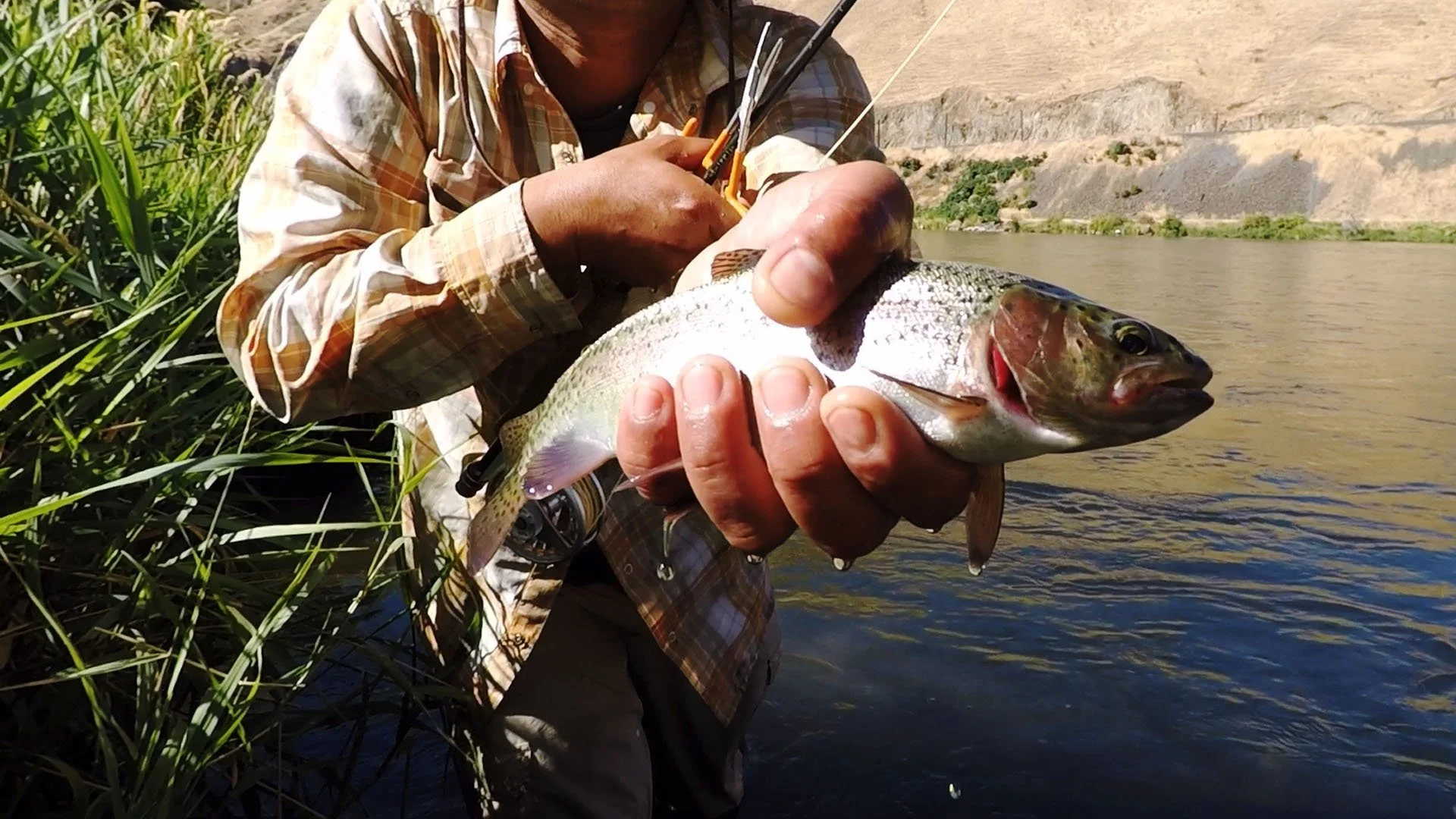 Bikefishing 101: Rod and Line