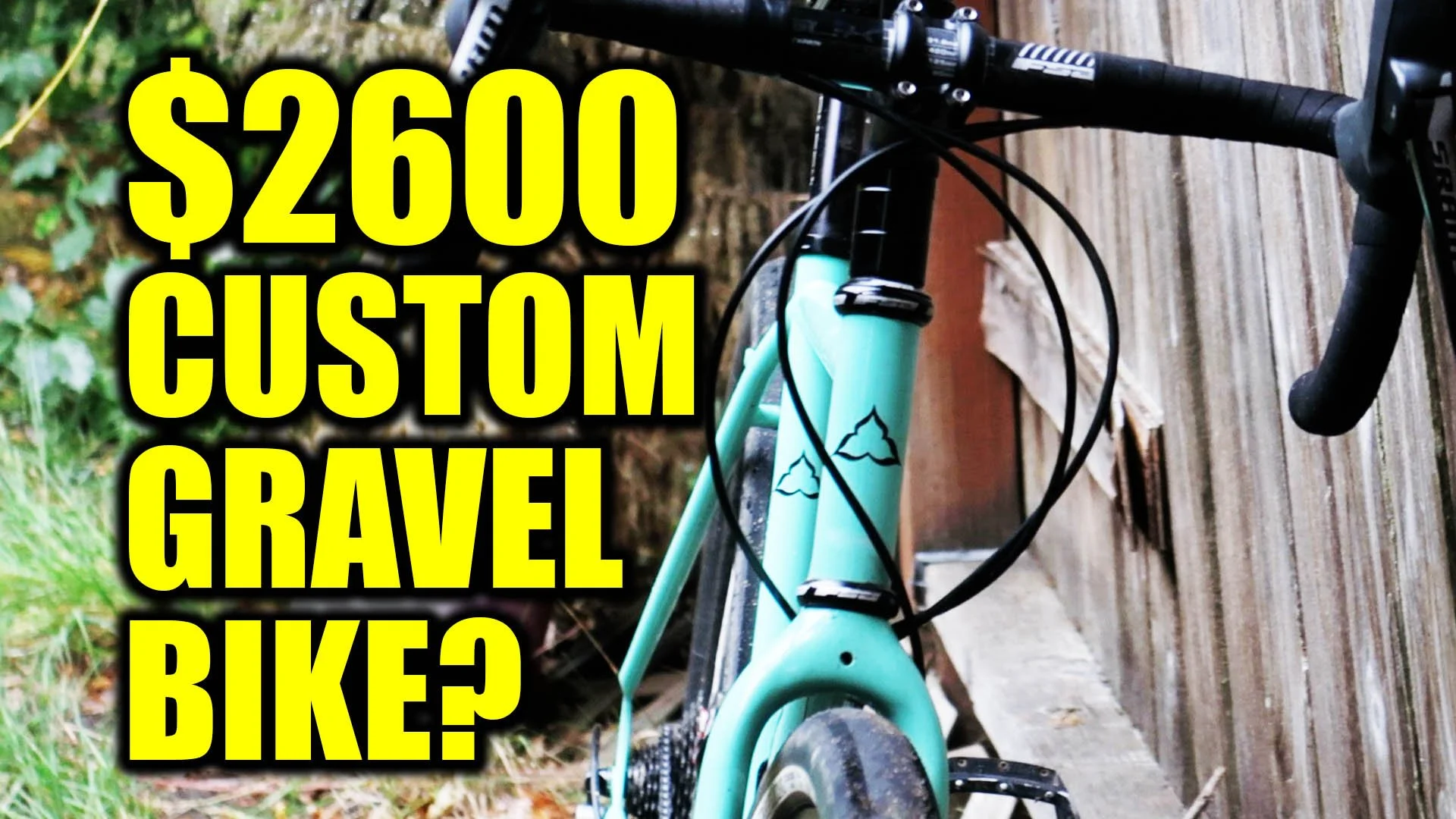 An Affordable Custom Bike?