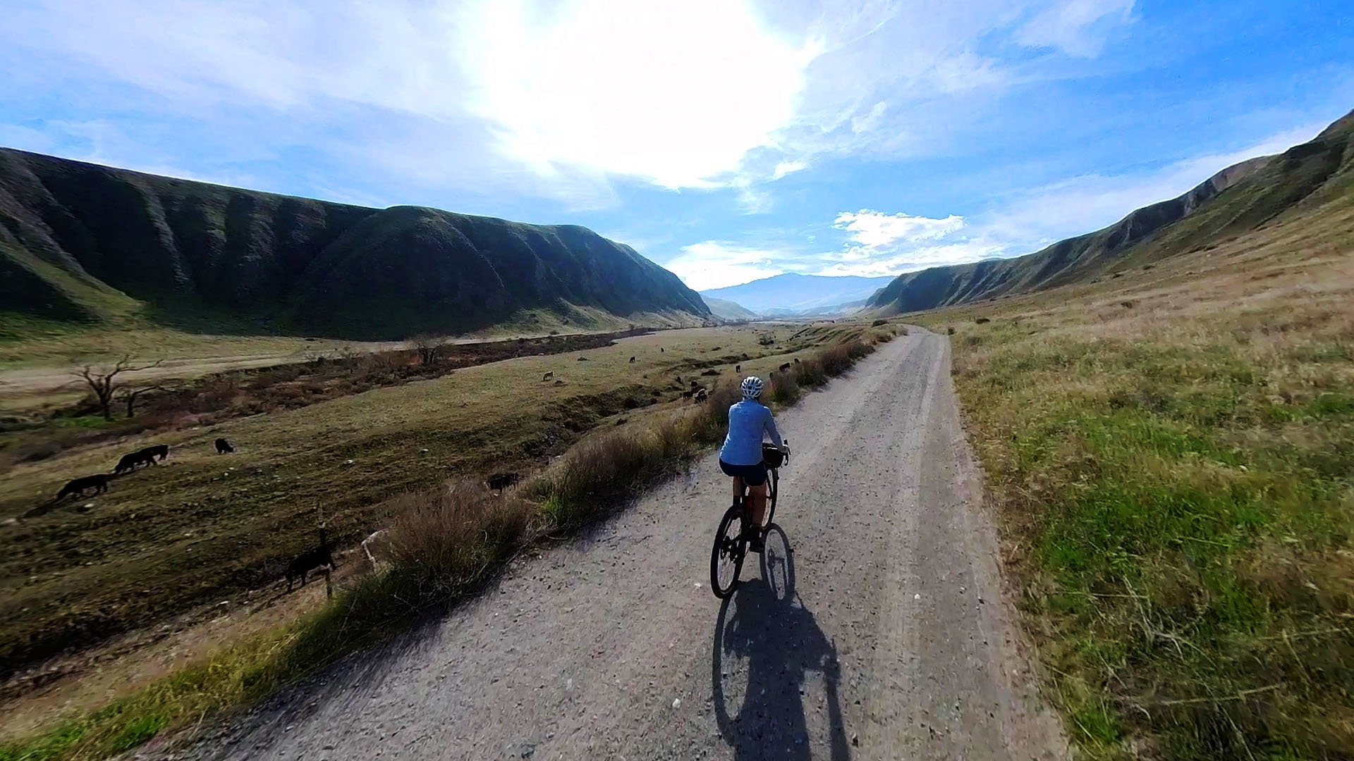 Biking the Wind Wolves Preserve